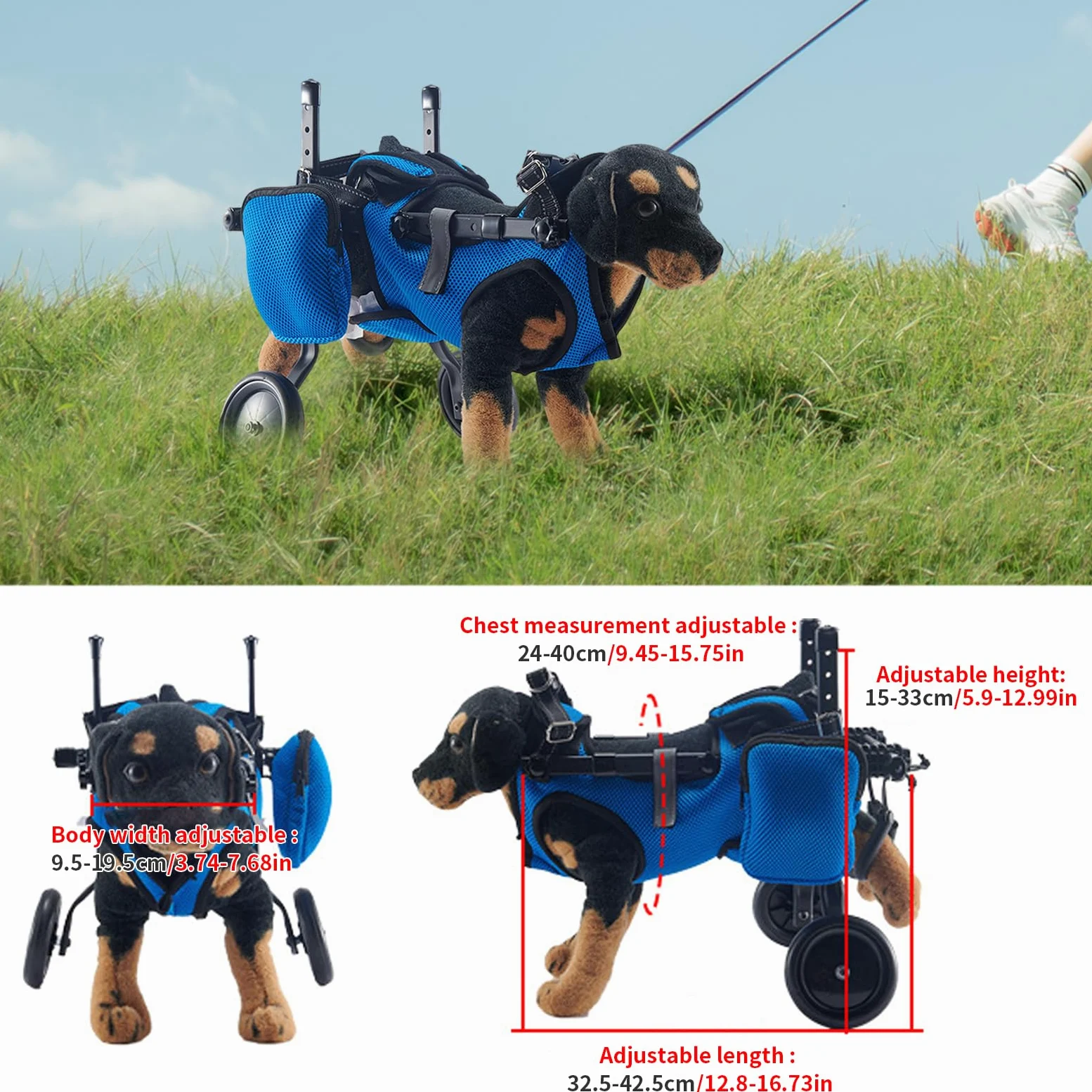 Sedia a rotelle per cani per le gambe posteriori, supporta la guarigione, regolabile 2 ruote, passeggino per cani e sedia a rotelle per piccoli feriti, disabili, paralizzati o sulle zampe