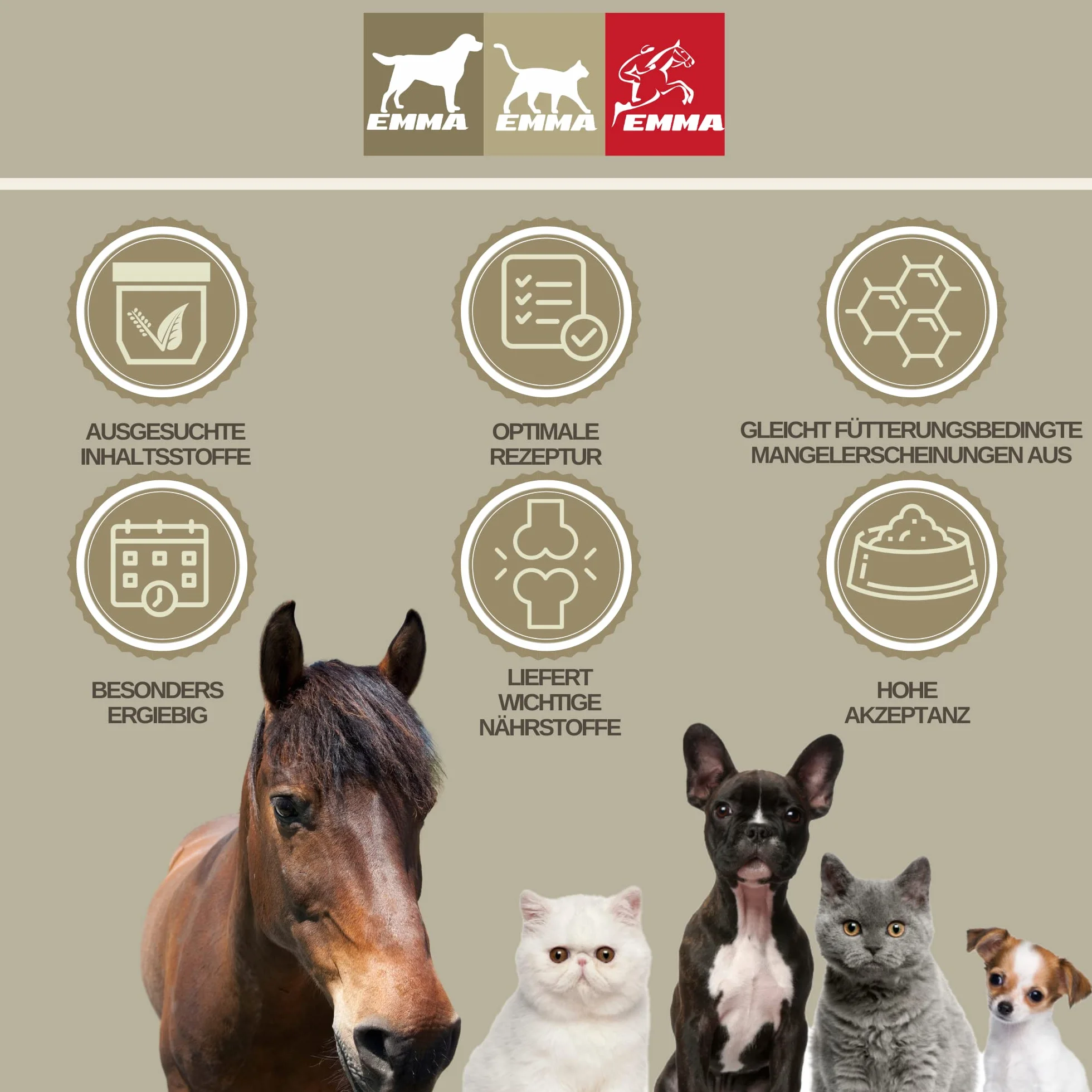 Elettroliti Cavallo - Pasta vitaminica per cavalli I Complesso vitaminico b Cavallo I Elettroliti Sodio Potassio Magnesio I Alimenti minerali Cavalli dopo la diarrea Vomito Acqua Sali minerali 3p.