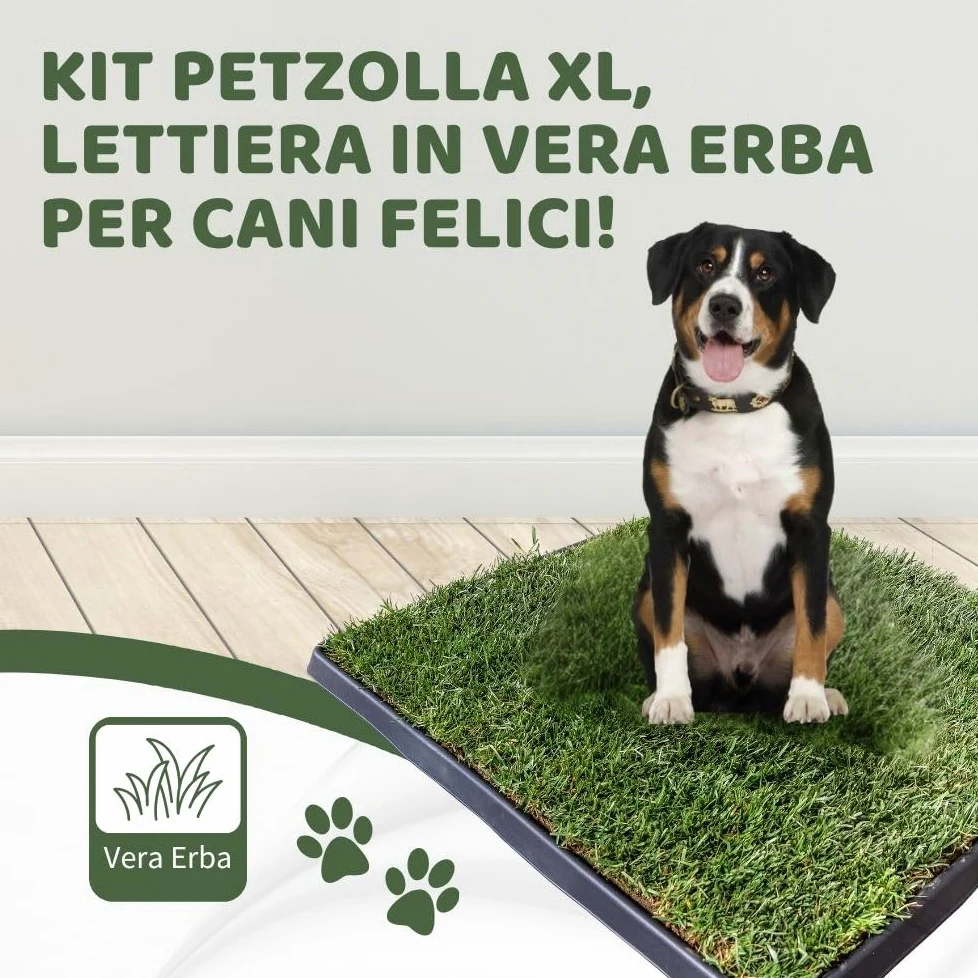 Kit XL cane PetZolla - Lettiera per cani in Vera Erba con Vassoio Riutilizzabile 100X90 cm, Traversine cane 100% Naturali e Atossiche, Toilette per cani in vero prato dura fino a 4 Settimane