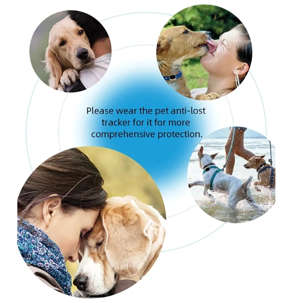 GPS Dog Tracker, collare intelligente ricaricabile per animali domestici con tracciamento e luci LED, sistema di contenimento per animali domestici per Corgi e Shiba Inu, dati sportivi e allarme