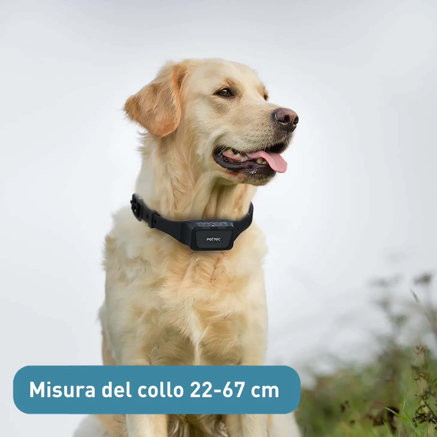 PetTec Collare da Addestramento per Cani con Spray, Portata fino a 600m - Collare a Spray con Telecomando - Impermeabile, Spray Innocuo, Intensità Regolabile - Dispositivo Sicuro per i Cani