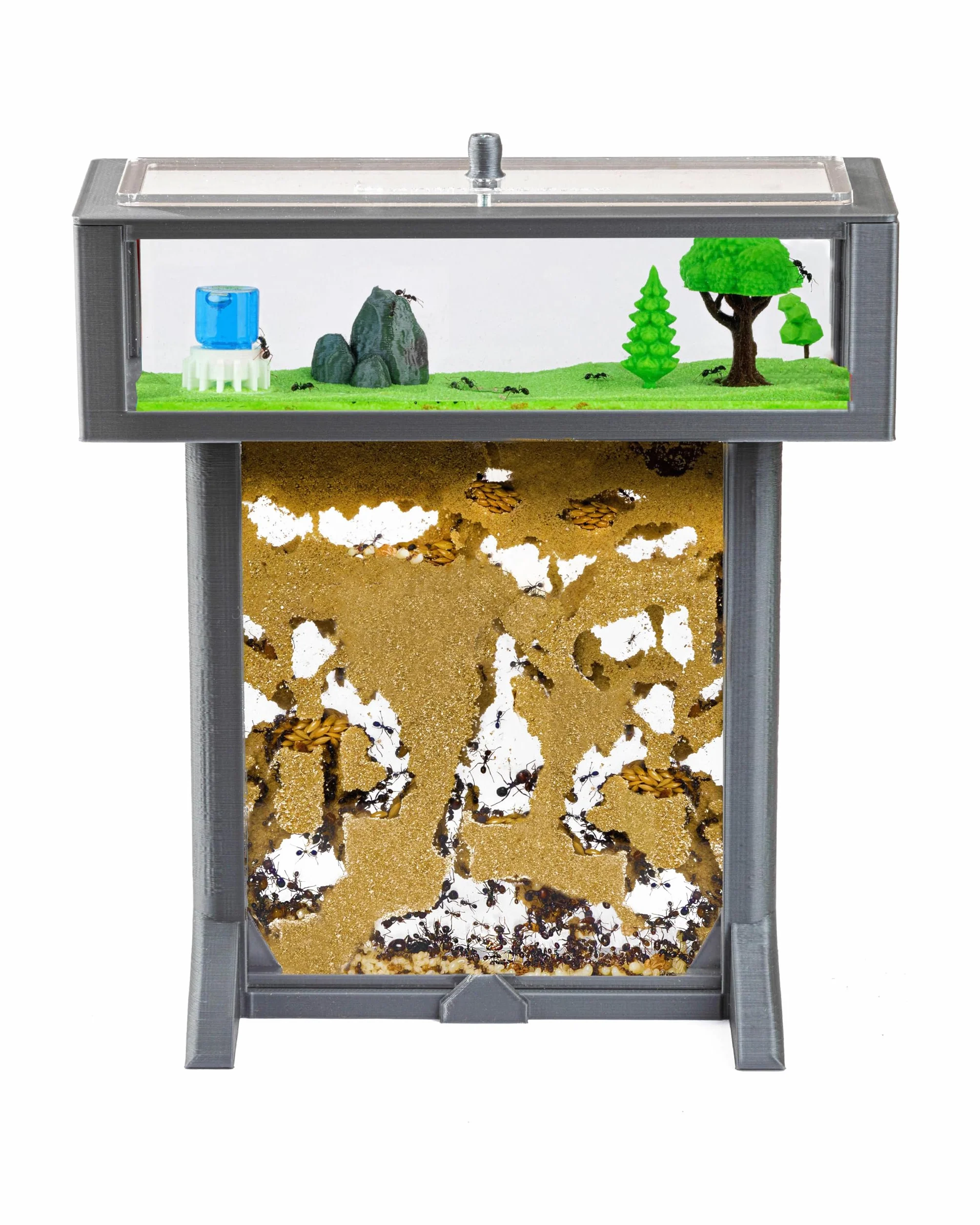 AntHouse - Fattoria di formiche di sabbia naturale | Kit 3D T 15x15x1,5cm Grigio| Comprese le formiche