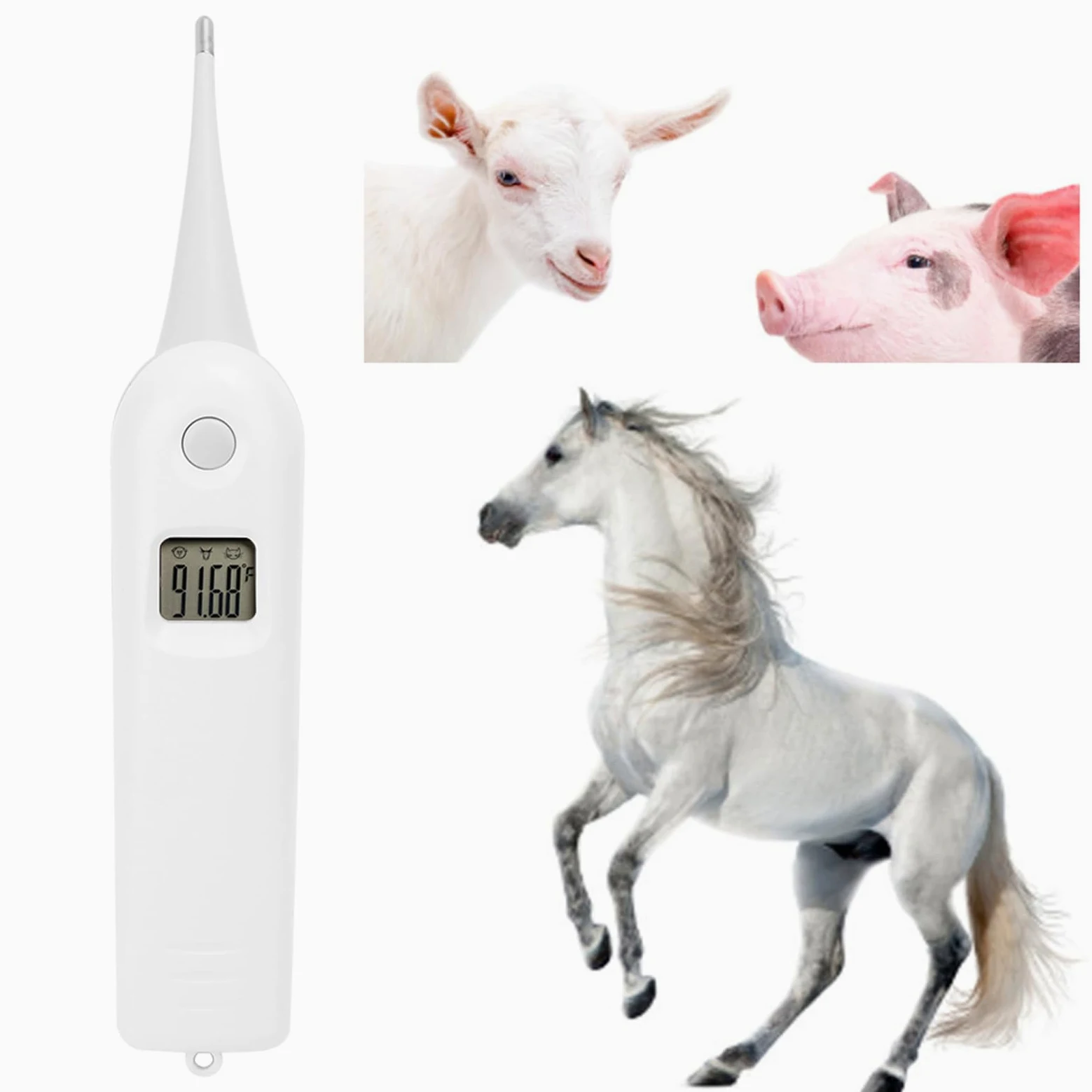 Termometro Elettronico per Maiali Bovini da Pecora, Termometro per Cani da Compagnia Termometro per Ano Termometro Veterinario Digitale Veloce Tester di Temperatura per Bestiame