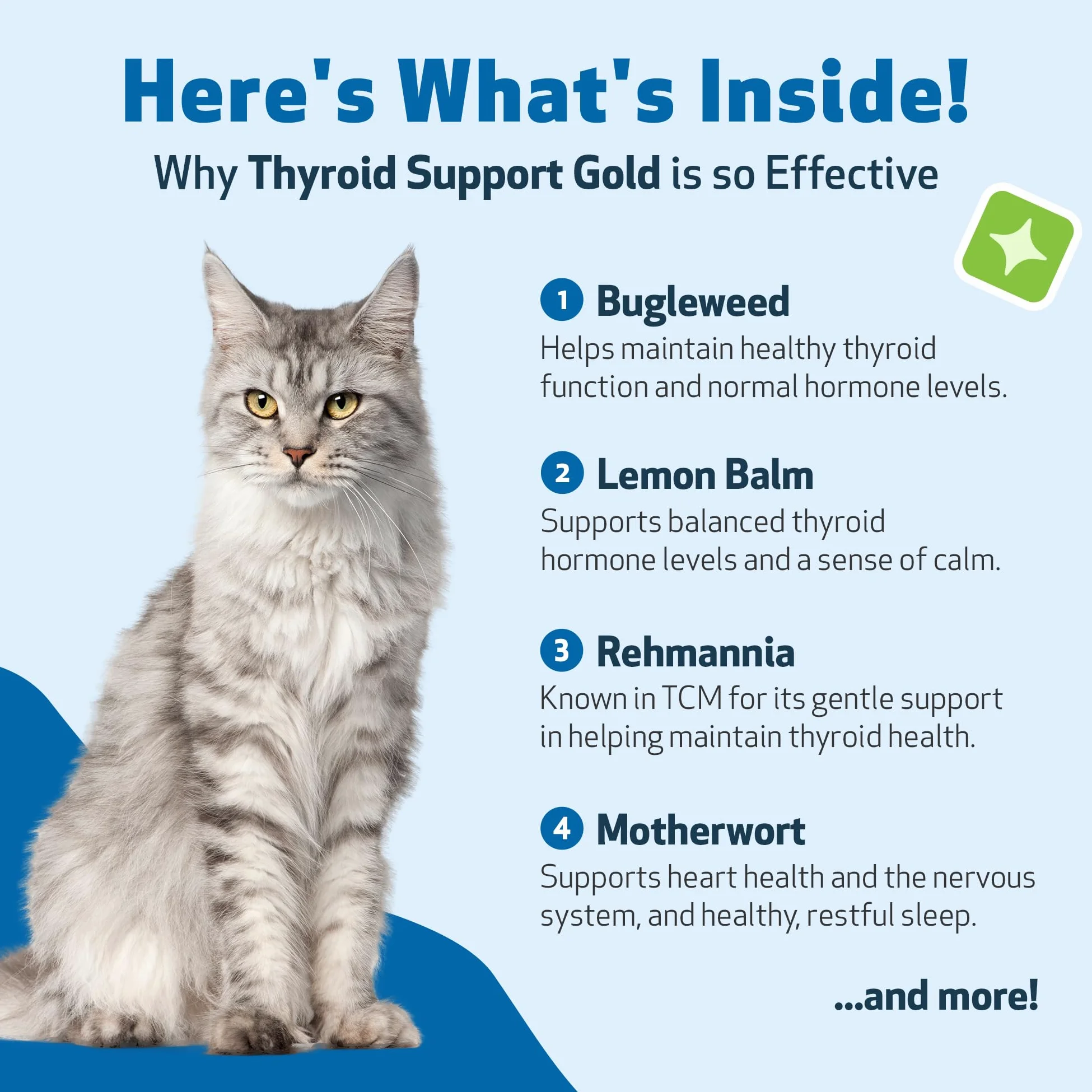 Pet Wellbeing Supporto Oro Della Tiroide Per I Gatti - Naturale Supporto Della Ghiandola Tiroidea Felina E Temperamento Calmo Normale - 2 Oz (59Ml)
