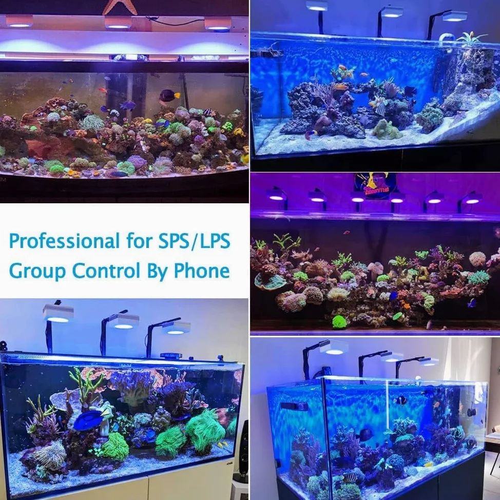 PopBloom WiFi LED Acquario Marino 100W, Lampada Acquario Marino a Spettro Completo per acquario di pesci SPS/LPS, L'APP supporta l'italiano (1 lampada con kit a braccio)