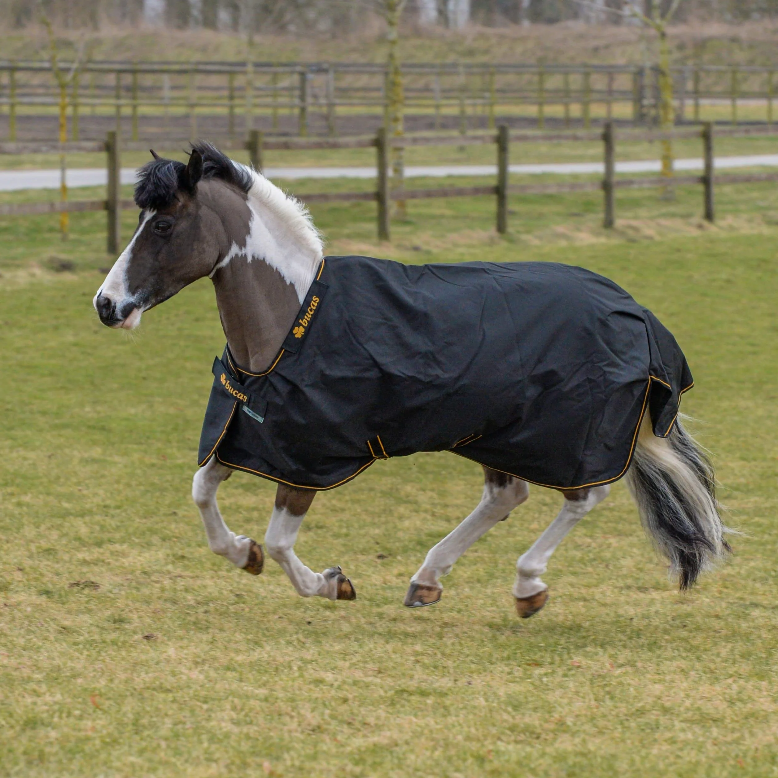 Bucas IrishTurnout - Coperta per cavallo, extra 300 g, 130 SW/Gold