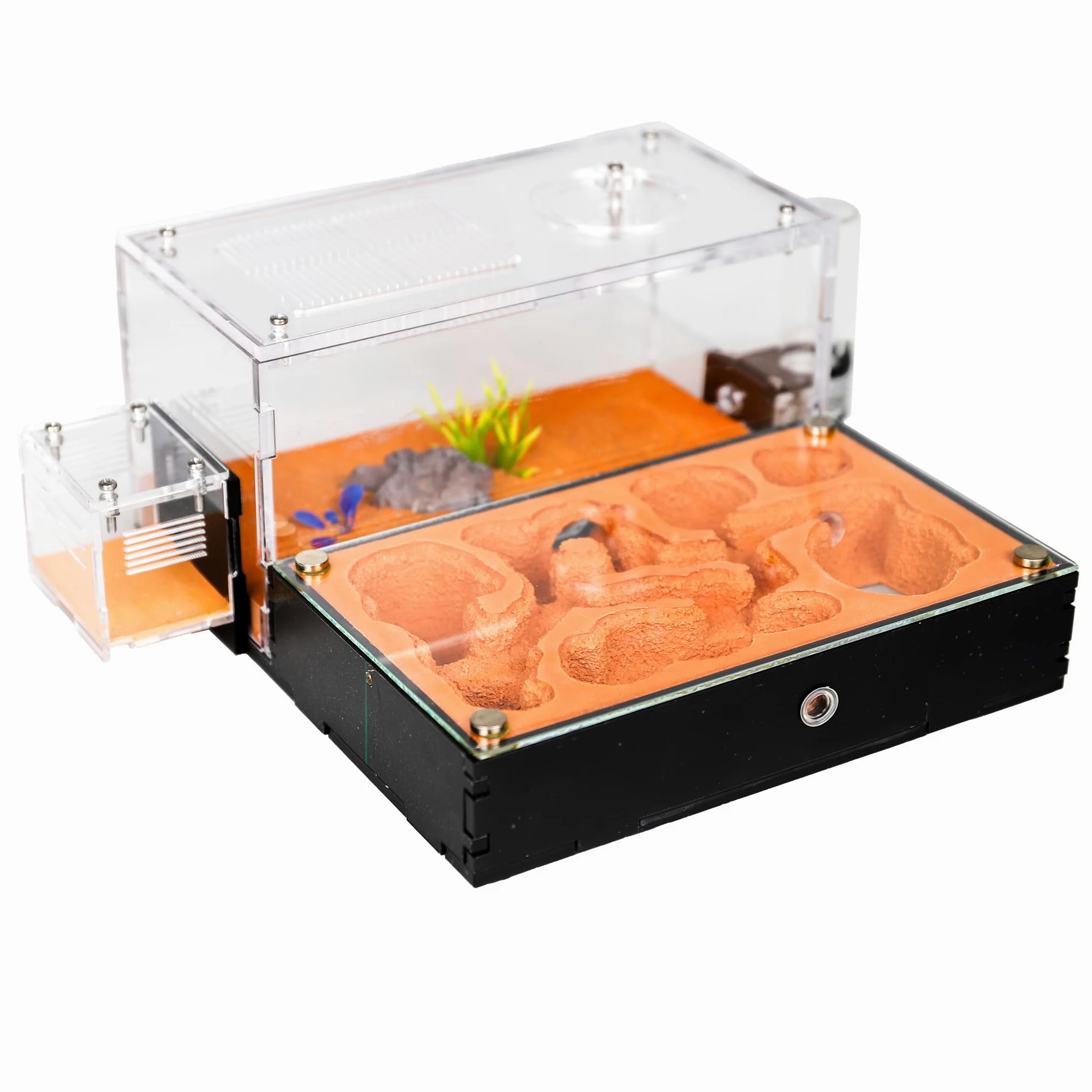 Formicarium formicario per formiche vive e regina – habitat extra large trasparente per adulti