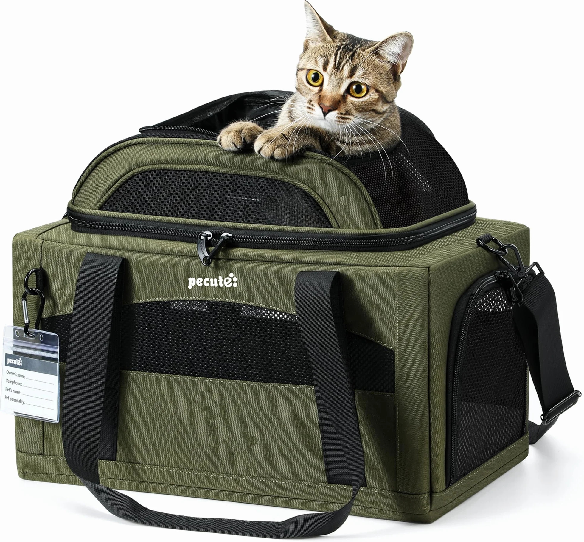 Pecute Trasportino per gatti espandibile, approvato dalle compagnie aeree, con estensione superiore, comodo, in rete sui 4 lati, approvato TSA e IATA, impermeabile, Verde