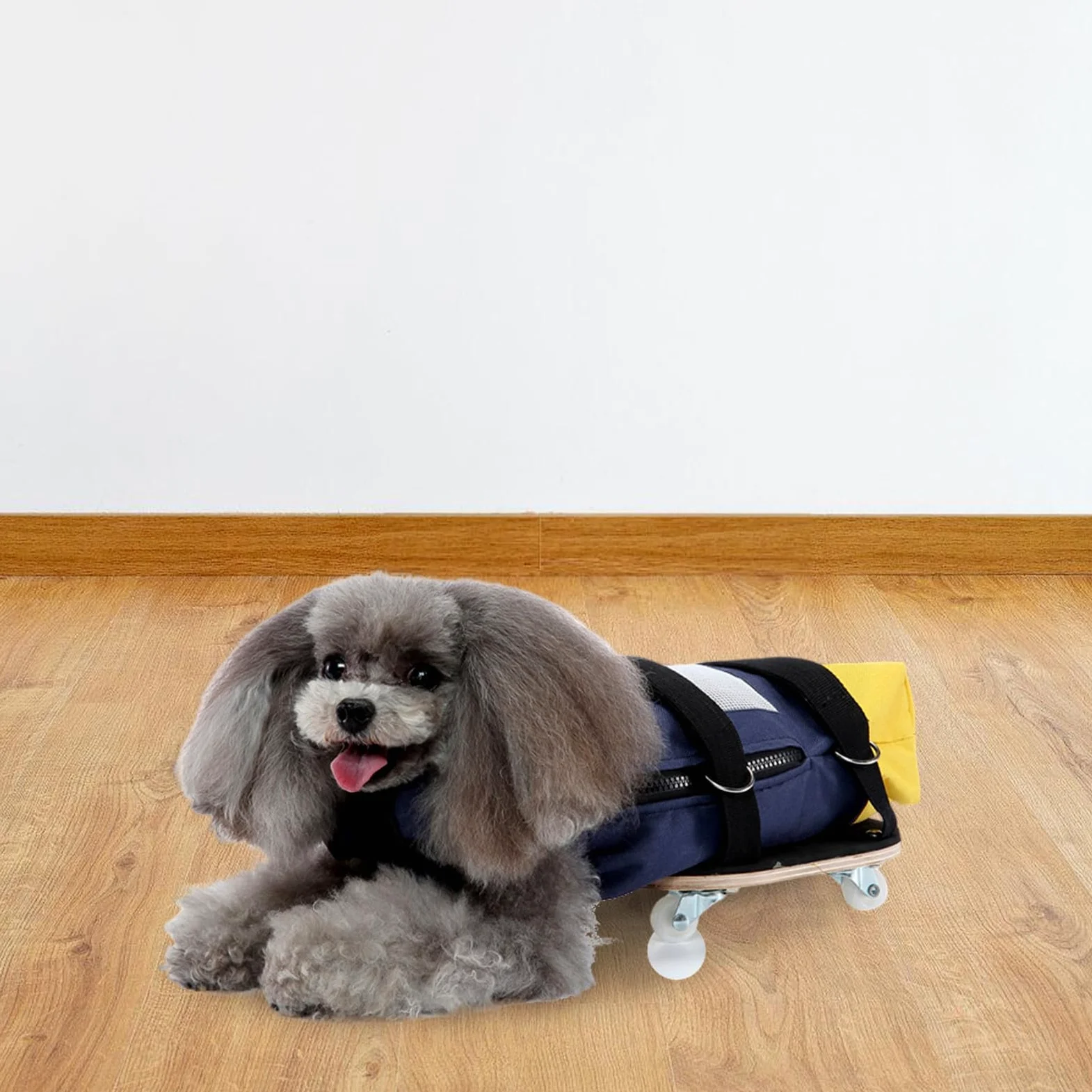 Carrellino per Cani Disabili Regolabile in Poliestere con Ruote Silenziose, Facile da Usare per Passeggiate Indoor e Outdoor di Animali Domestici Anziani