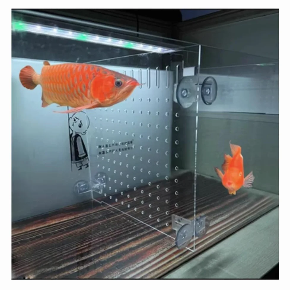 Divisori per Acquario Pannello isolante trasparente per acquario, divisorio acrilico, partizione di rete, previene i pesci, attacco di lotta con le tartarughe, ogni trasparente, dimensioni: 40 x 50 c