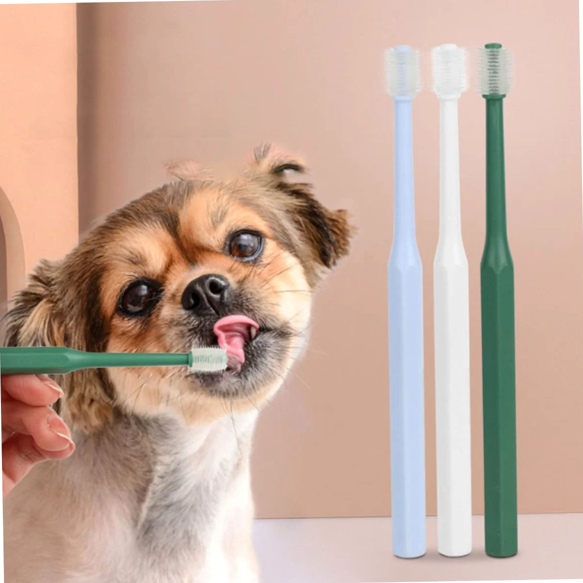 BESPORTBLE 12pezzi Spazzolini Per Cani e Gatti Spazzolino Da Denti Plastica Con Setole Morbide Pulizia Orale Per Animali Domestici Manico Ergonomico e Antiscivolo Confezione Da Verdi