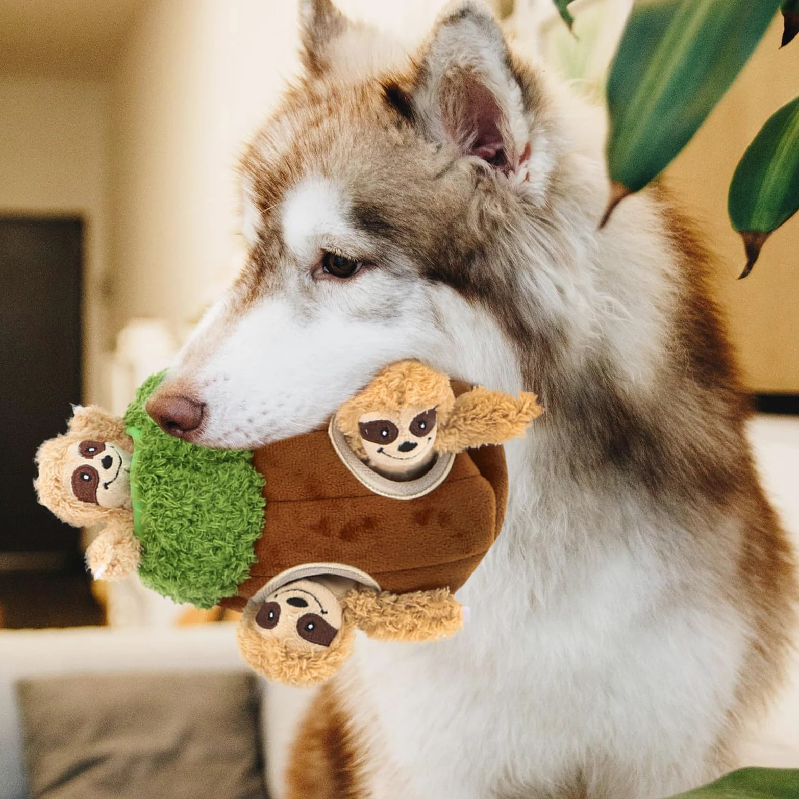 Giocattoli per Cani in Peluche 4 Pezzi Suono a Scricchiolio, Giochi da Masticare a Forma di Animali per Attività di Nascondino e Compagnia per Animali Domestici