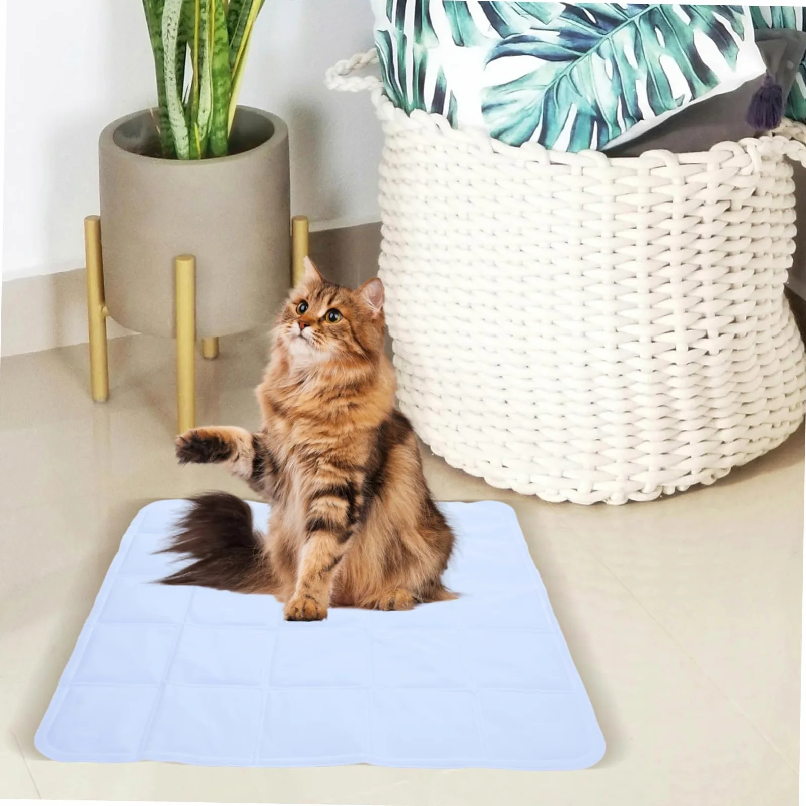 Tappetino Rinfrescante per Cane Autorefrescante Pvc Leggero | Festa Estiva, per Gatto e Cane, Facile da Spostare, Pratico e Confortevole, Uso in Estate e Caldo