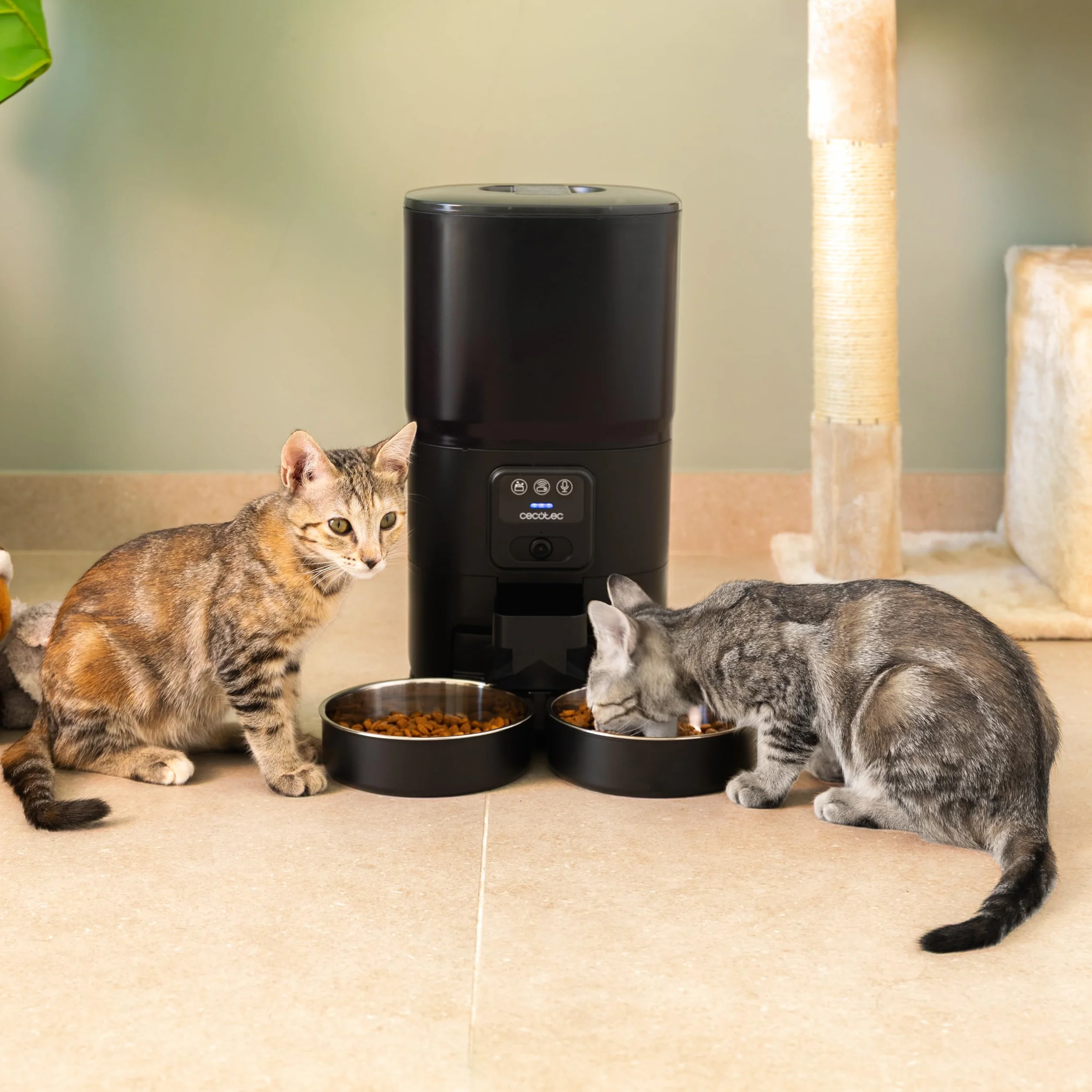 Cecotec Mangiatoia automatica per animali domestici con controllo WiFi, fotocamera e registratore vocale Pumba 8600 Double Meal Vision. 7L, programmabile, controllo delle porzioni, doppia ciotola in