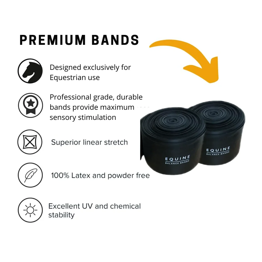 Equine Band System – Dressage Core Conditioner Training Aiuto per cavalli con fasce fisioterapiche professionali e sottosella dressage Equine Balance Bands.
