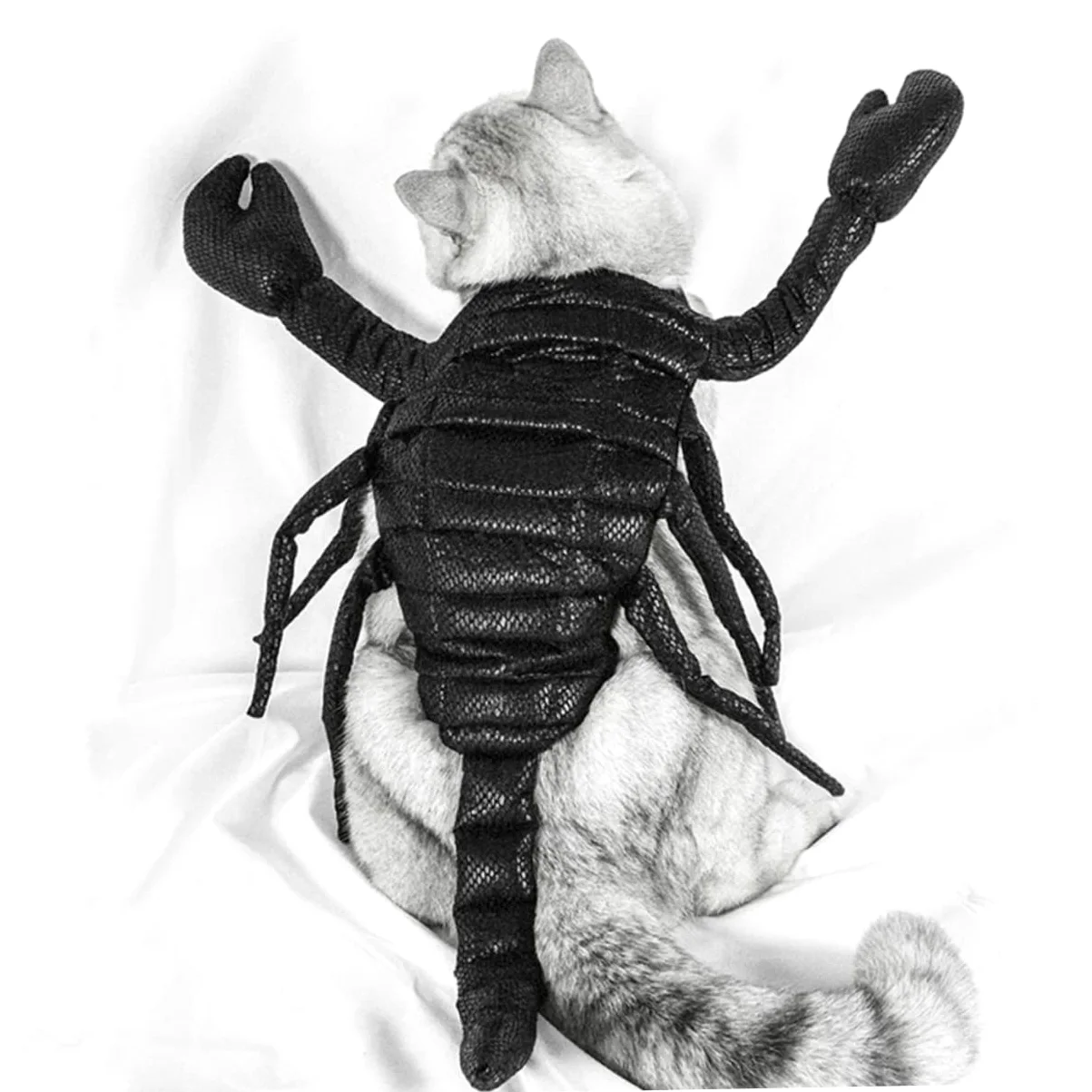 Decorazioni Natalizie,2 Pezzi Abbigliamento per Animali Domestici Felpa con Cappuccio per Cane Felpa con Cappuccio in Lana Vestiti per Gattini Costume per Animali Domesti