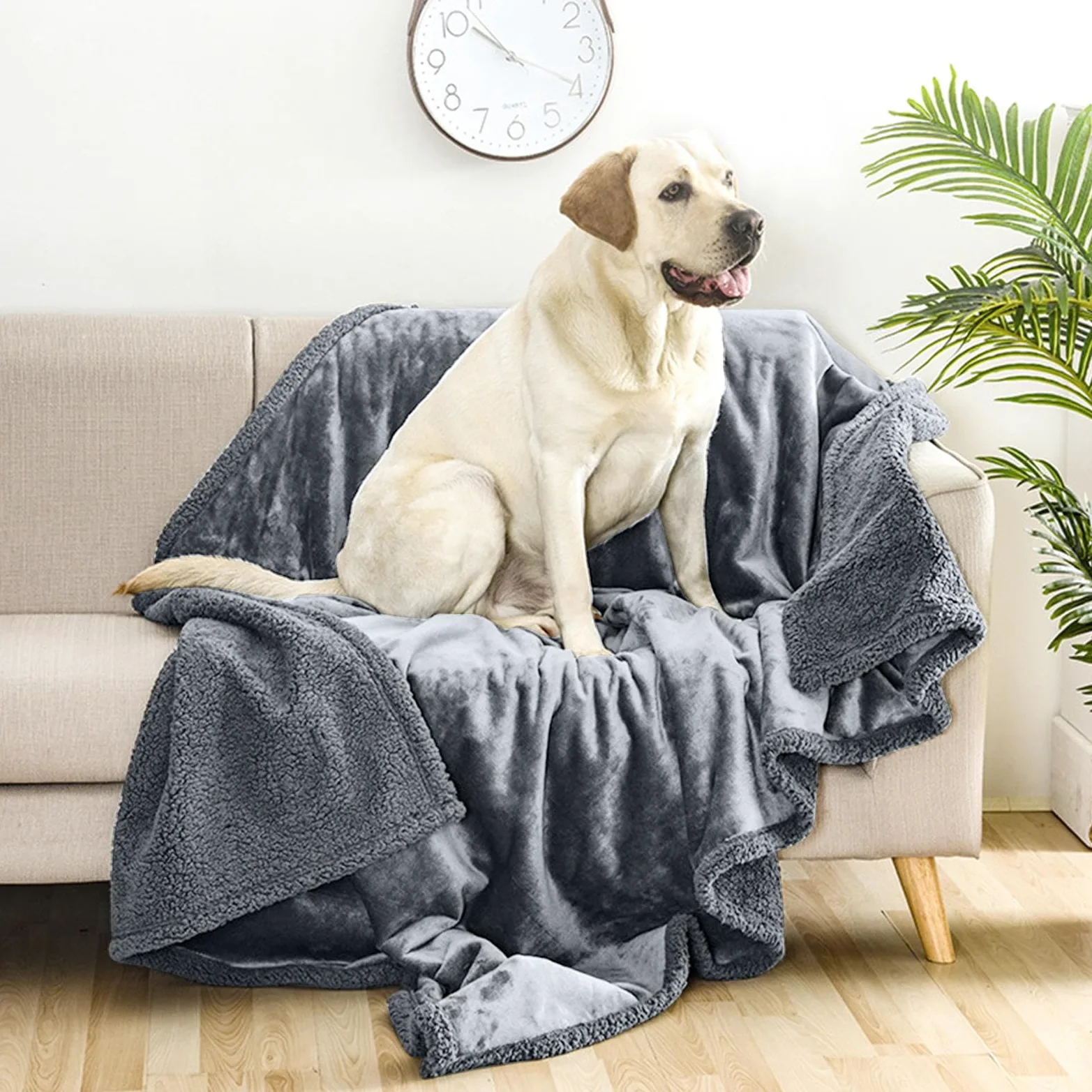 Coperta calda per cuccioli, in flanella di cotone, coperta per animali domestici, coperta termica multifunzionale per animali domestici, cani, gatti, coperta per casa, all'aperto | domestici, coperta termica multifunzionale per animali domestici, cani, ga