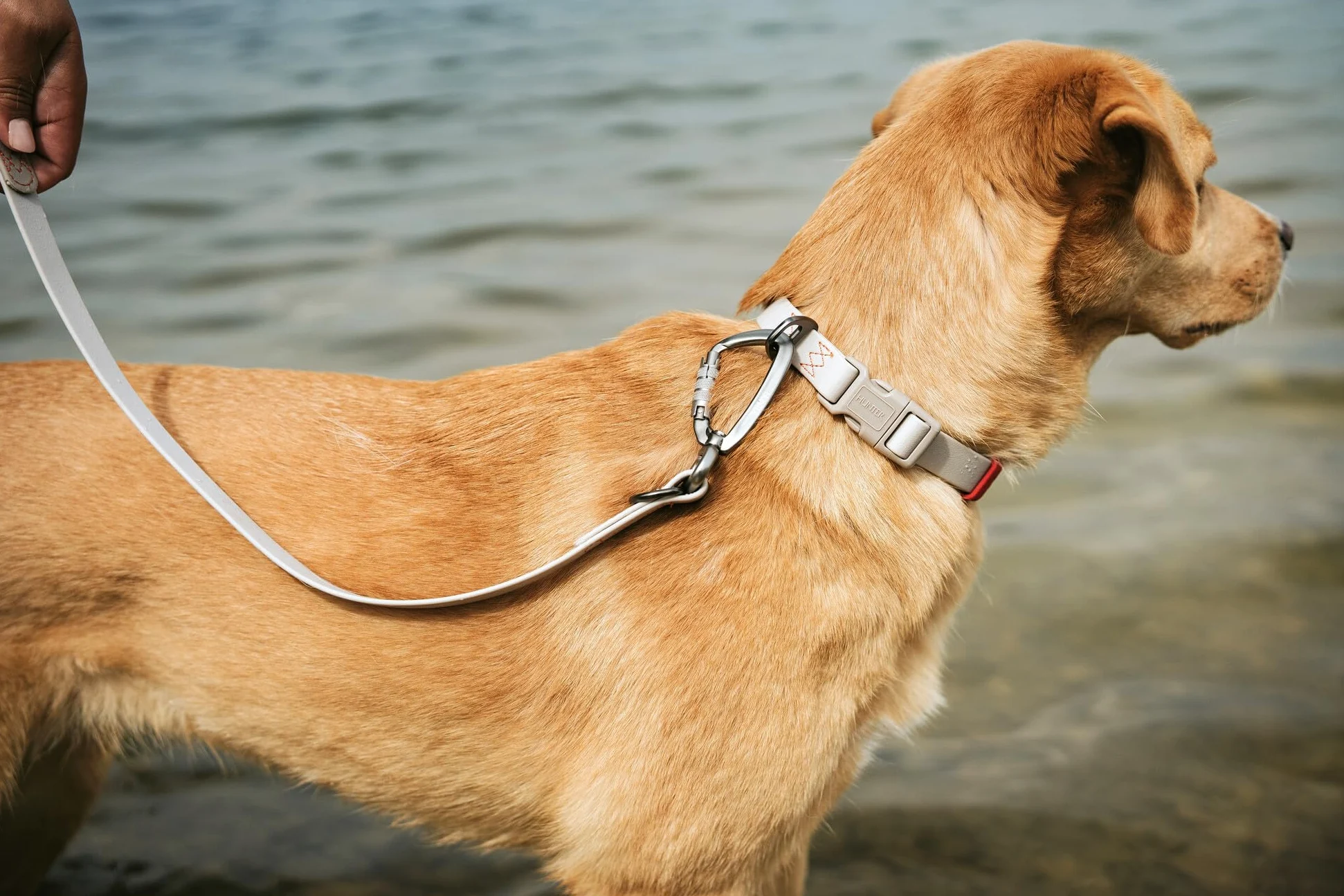 Hunter Guinzaglio regolabile per cani, colore Avana, rivestimento in plastica, regolabile in 3 posizioni, durevole, antistrappo, resistente alle intemperie, facile da pulire, effetto canna di fucile