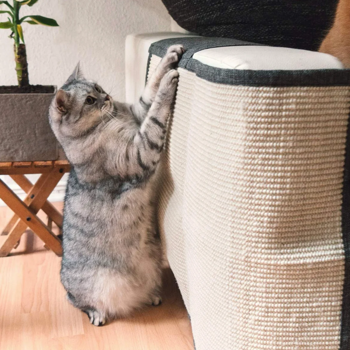 Navaris Tappeto Tiragraffi Gatti Divano - Tappetino Tiragraffi Poltrona Lato destro - Tappeto Tira Graffi Protezione Bracciolo 50x70cm - Grigio