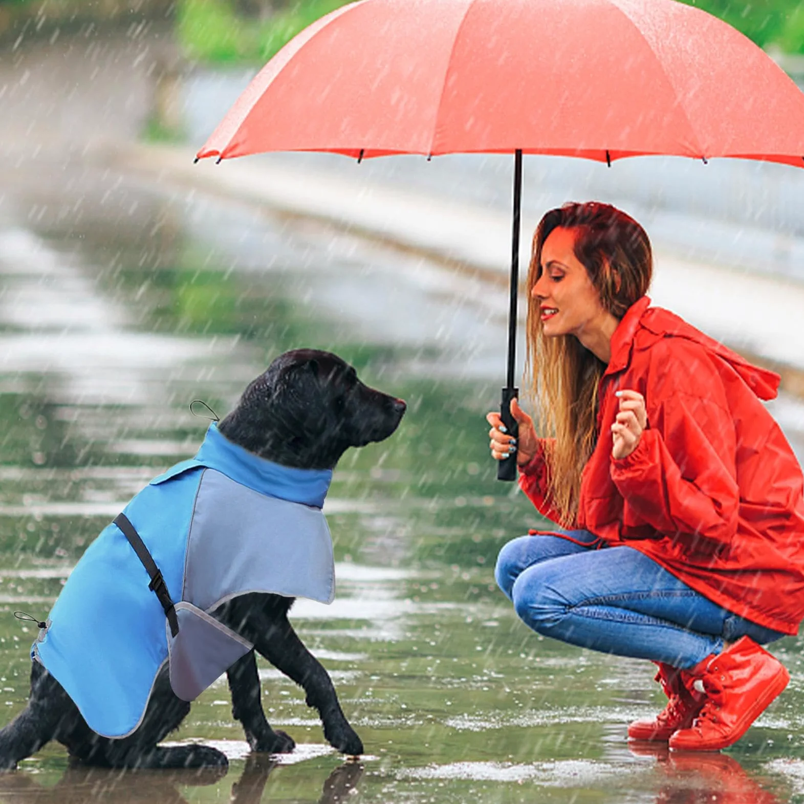 Impermeabile Per Cani Leggero Copertura Totale | Impermeabile per Cani Per Attività all'Aperto Camminata Jogging Escursionismo