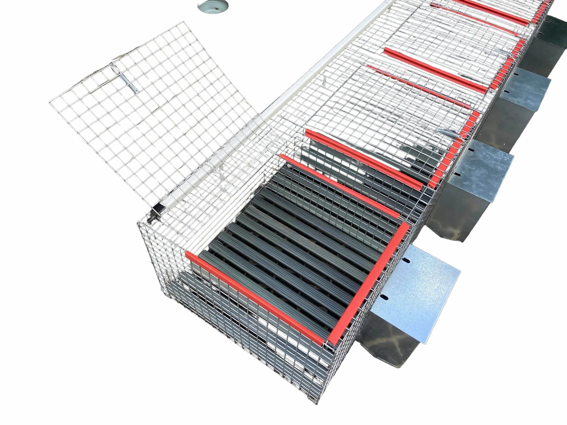 GABBIA PER CONIGLI FATTRICI 4 FORI CM 200X50X34H