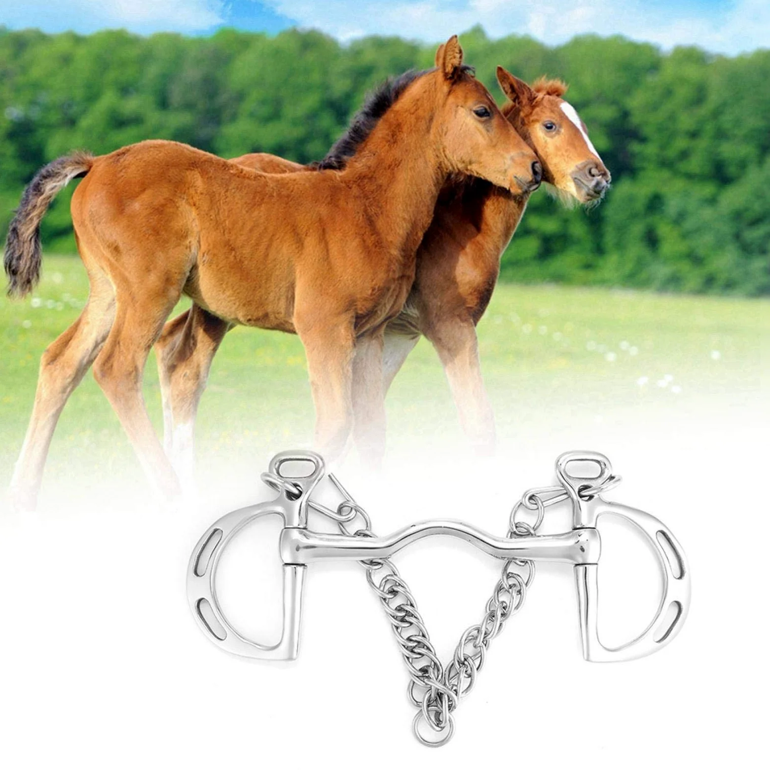 Morso a Bocca di Cavallo, Masticare Cavallo Portatile in Acciaio Inossidabile, morso Pelham a Bocca di Cavallo Solido per(Horse's Mouth is 125 mm Long)