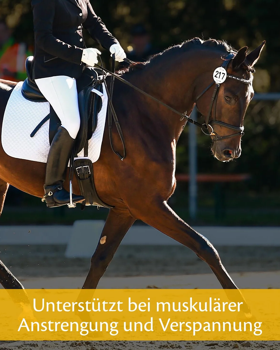 Equistro, Excell E, Complemento di mangime per la corretta funzione muscolare dei cavalli, 1 litro