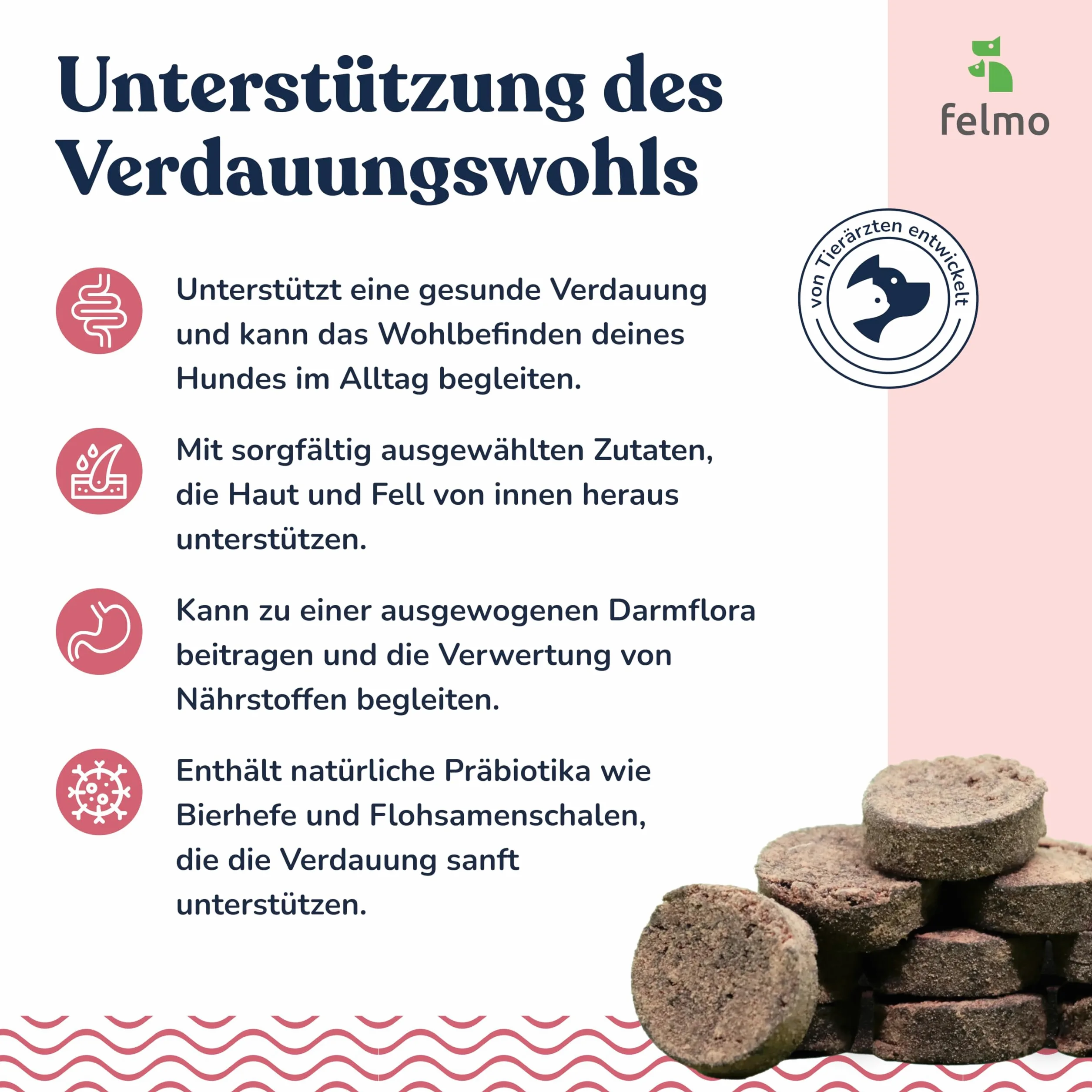 felmo Snack digestivo per cani (325 g) con lievito di birra e grasso completo per insetti | Snack prebiotici per l'equilibrio intestinale, la salute della pelle e dell'immunità, senza cereali, made in Germany