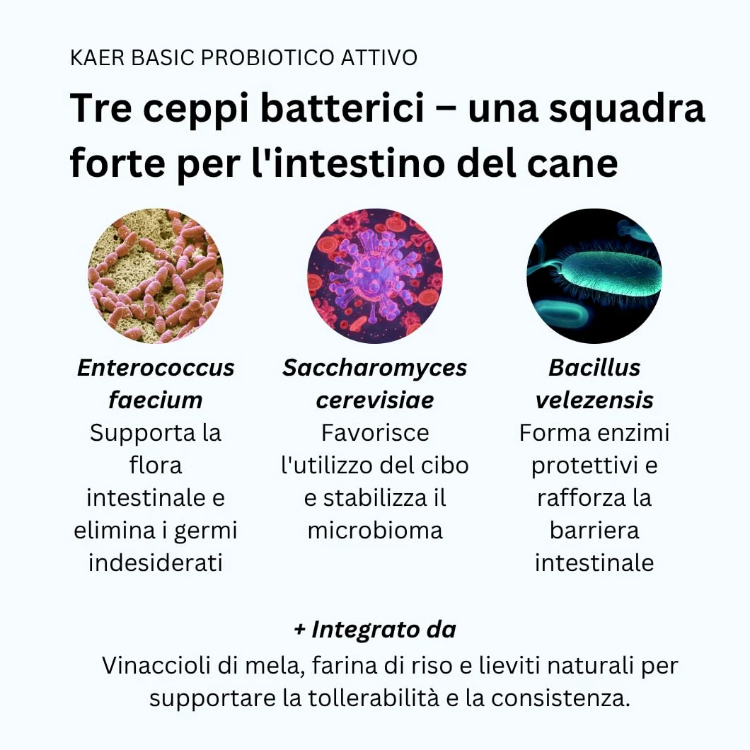 Probiotici per Cani con Batteri Vivi – Fermenti Lattici in Polvere per Flora Intestinale, Disintossicazione intestinale e in caso di diarrea, Gonfiore e Cura Post Antibiotici 500g