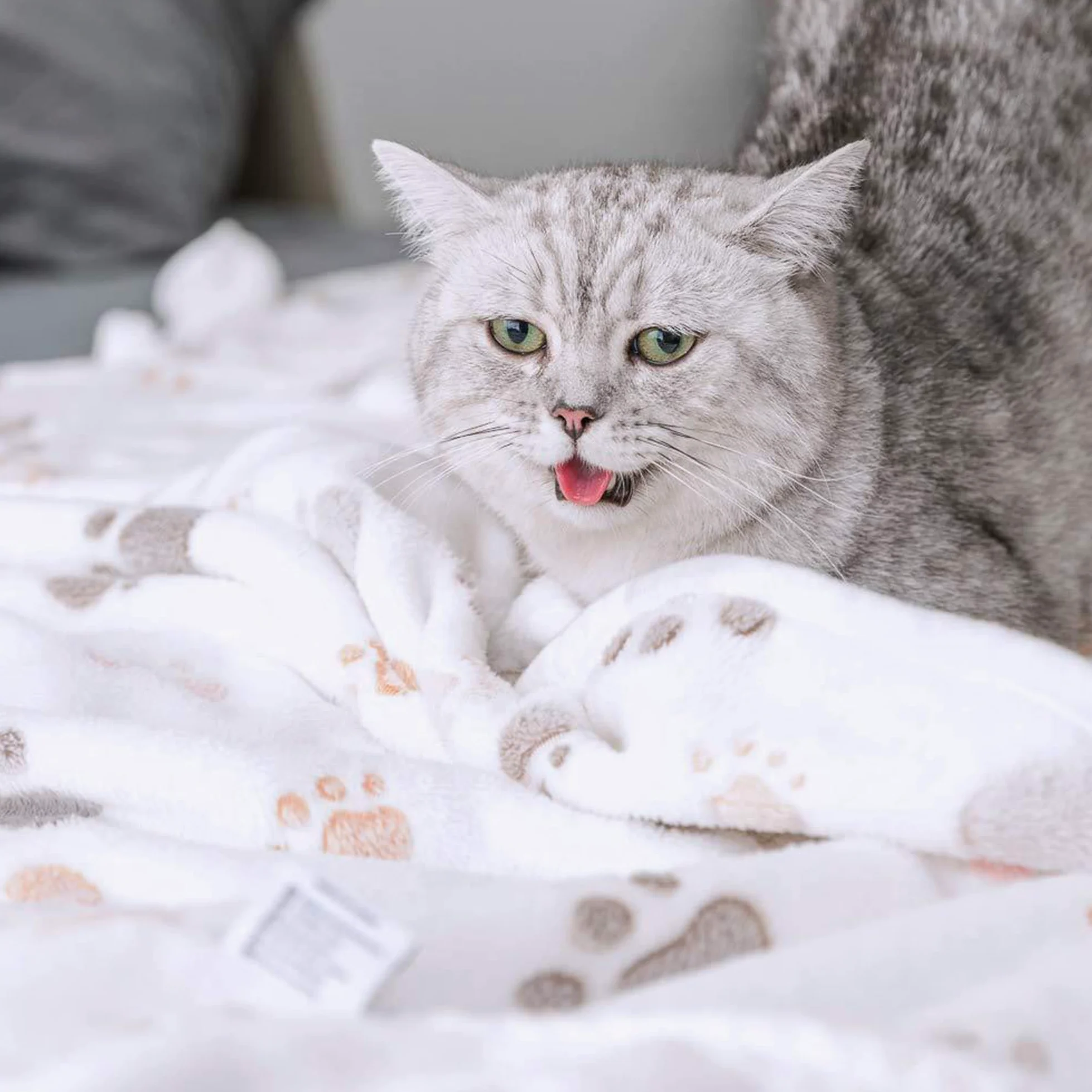 Confezione da 2 coperte per cani e gatti, lavabili, per cani e gatti di piccola e media taglia, coperta con stampa di zampe, calda coperta per animali domestici (stile 4, 2 pezzi, 200 x 160