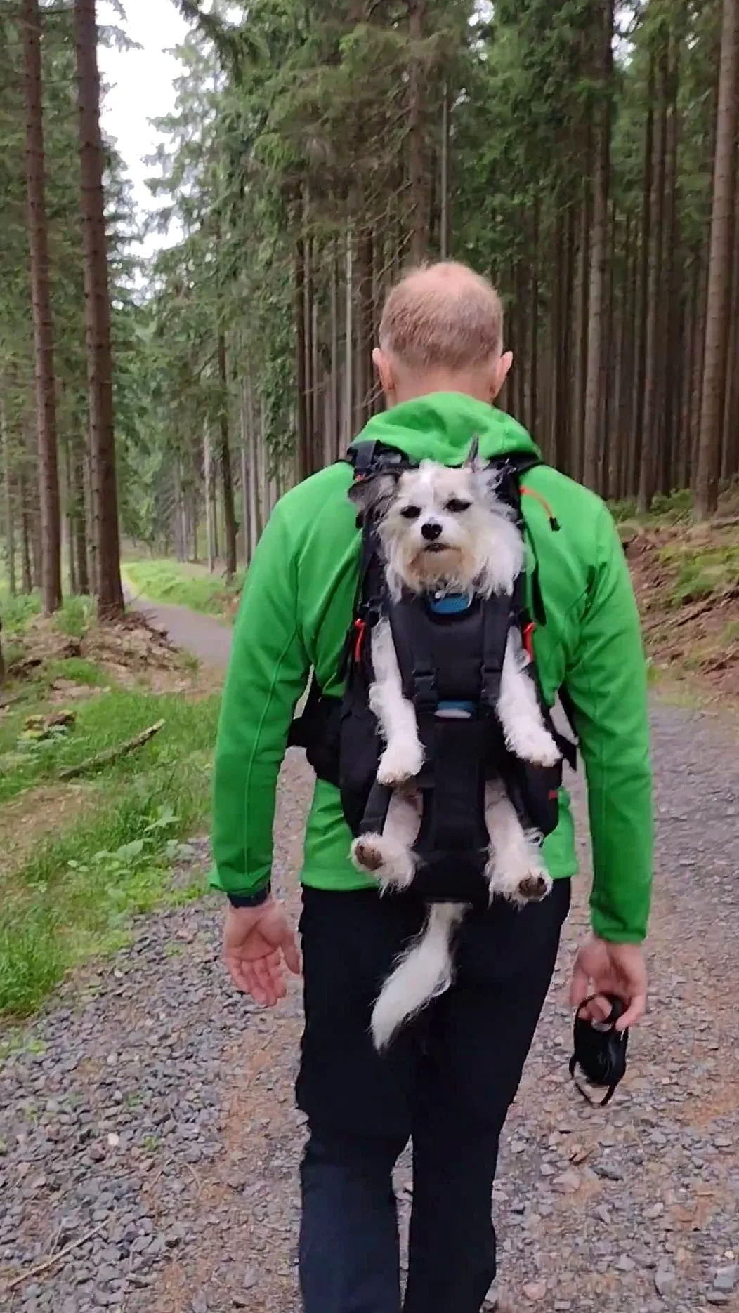 Dog Carrier - Zaino per cani da 9 a 18 kg