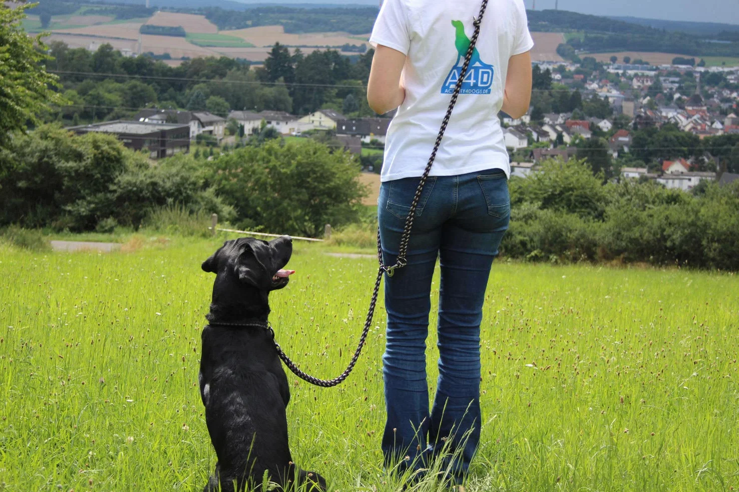 Guinzaglio per cani intrecciato, multilaterale, regolabile in 4 posizioni, lunghezza 2,80 m, rotondo, diametro 15 mm, per cani grandi e grandi, Made in Germany