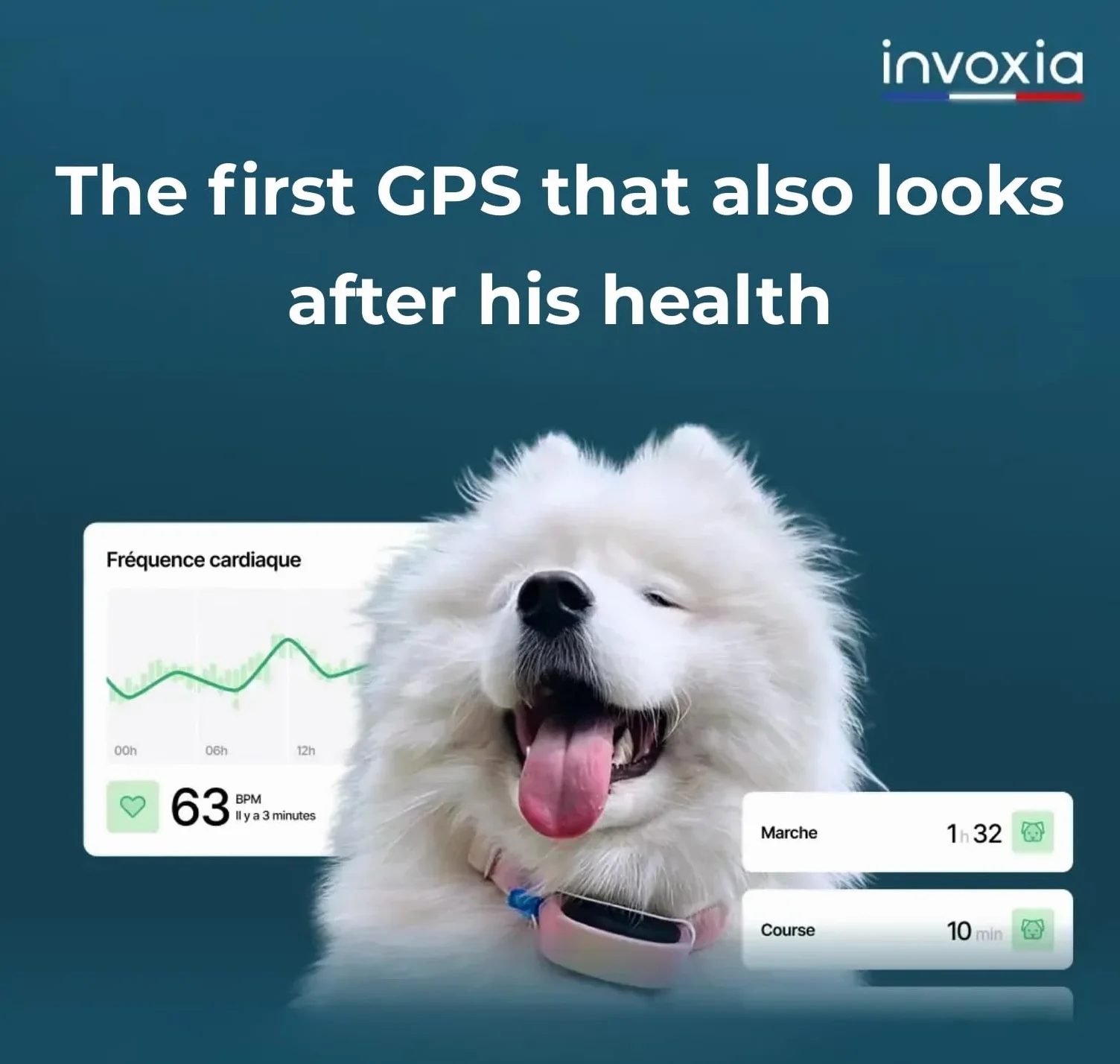 Invoxia Minitailz - Localizzatore GPS e di salute per cani n. 1 - Avvisi anti-fuga, scansione respiratoria - Posizione in tempo reale, ricaricabile tramite USB, zona virtuale e recinto