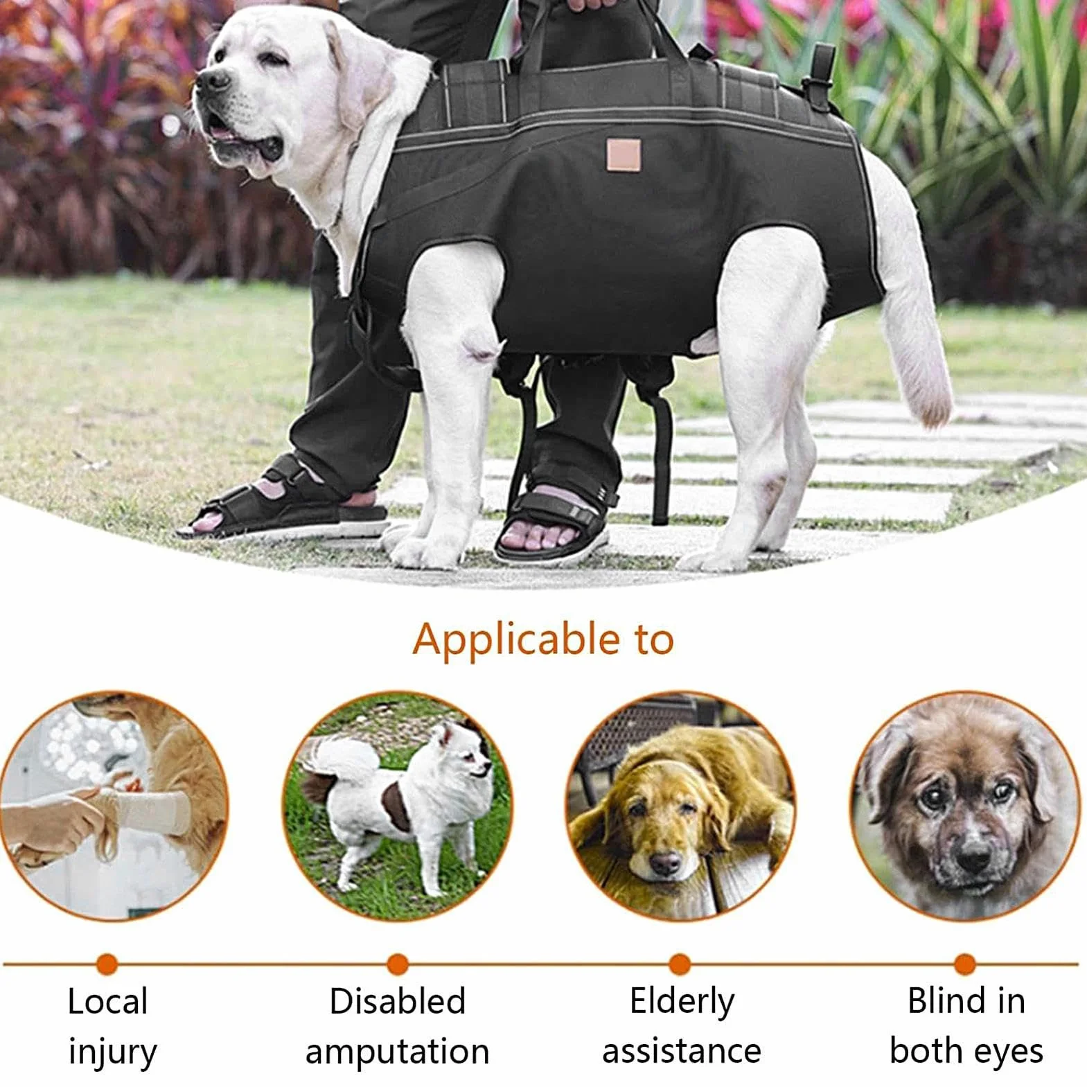 Imbracatura Per Sollevamento Cani Pettorina Regolabile Traspirante | Imbracatura Di Sostegno Canino per Escursionismo Viaggi Passeggiate Quotidiane Movimento Riabilitazione