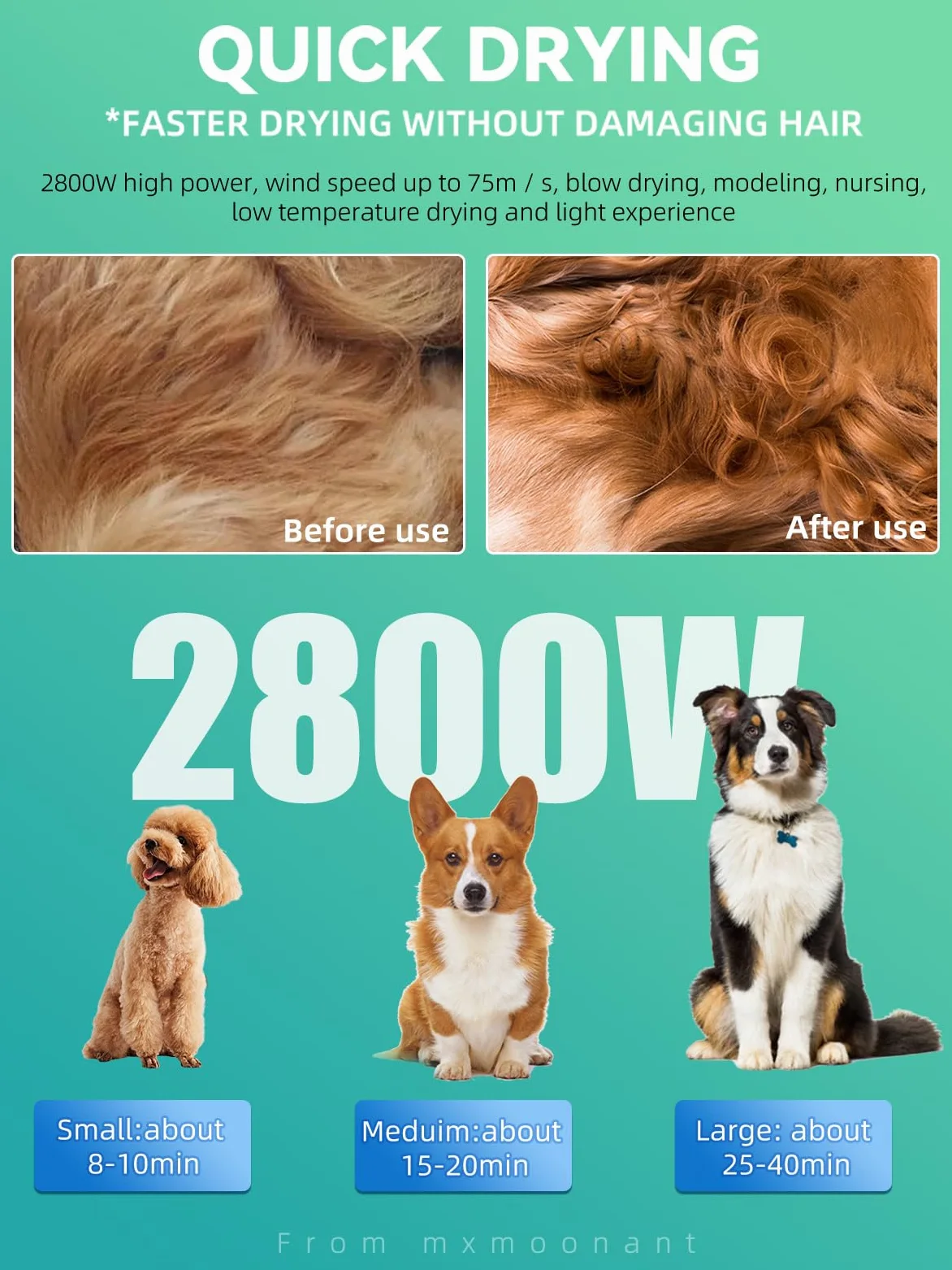 Mxmoonant Soffiatore per Cani, 2800 W, con controllo intelligente della temperatura Negative Ionen, con 4 tipi di ugelli e una spazzola grande