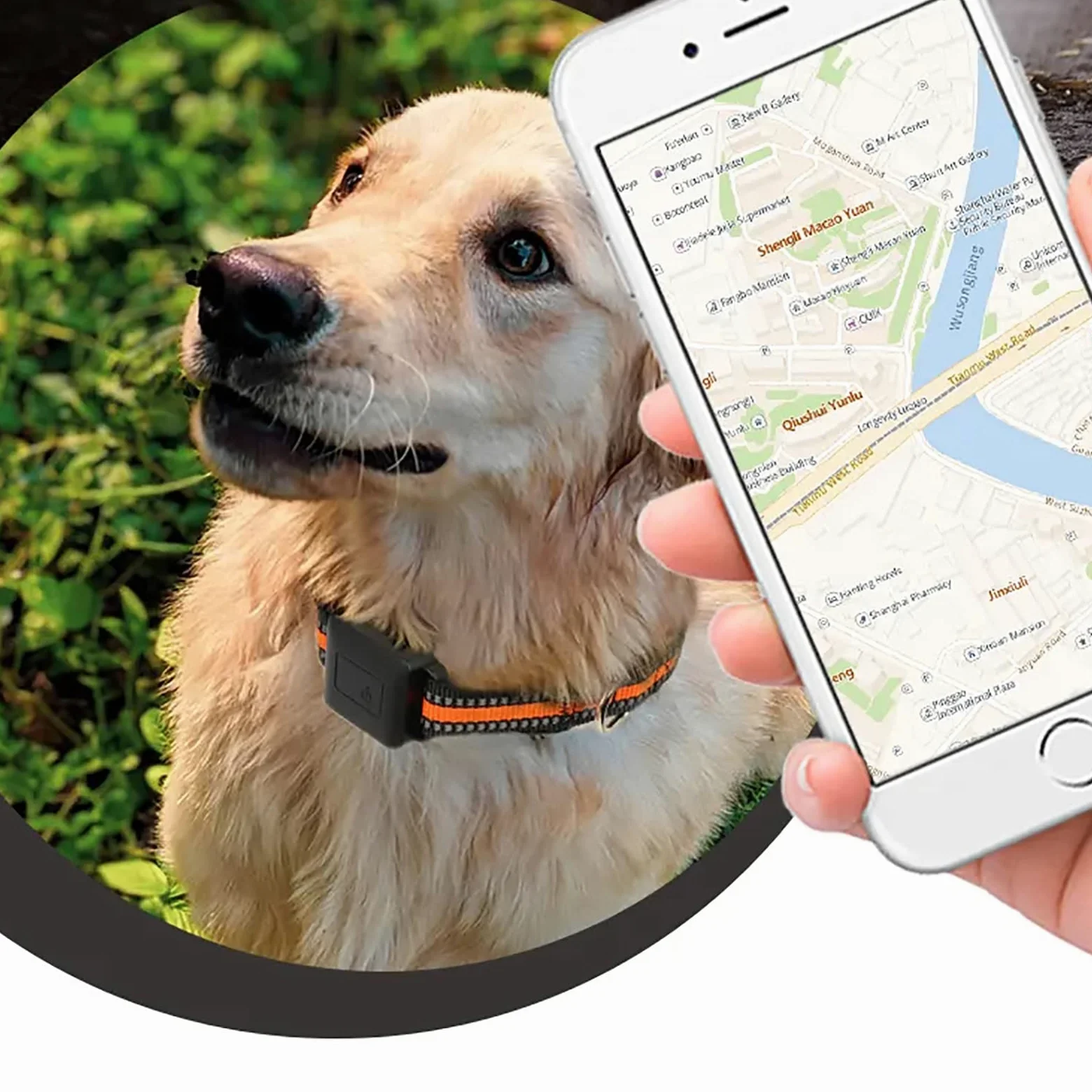 Collare GPS per animali domestici con recinto wireless per cani, sistema di contenimento elettrico portatile, monitoraggio dell'attività, tracker ricaricabile impermeabile per cani, gatti