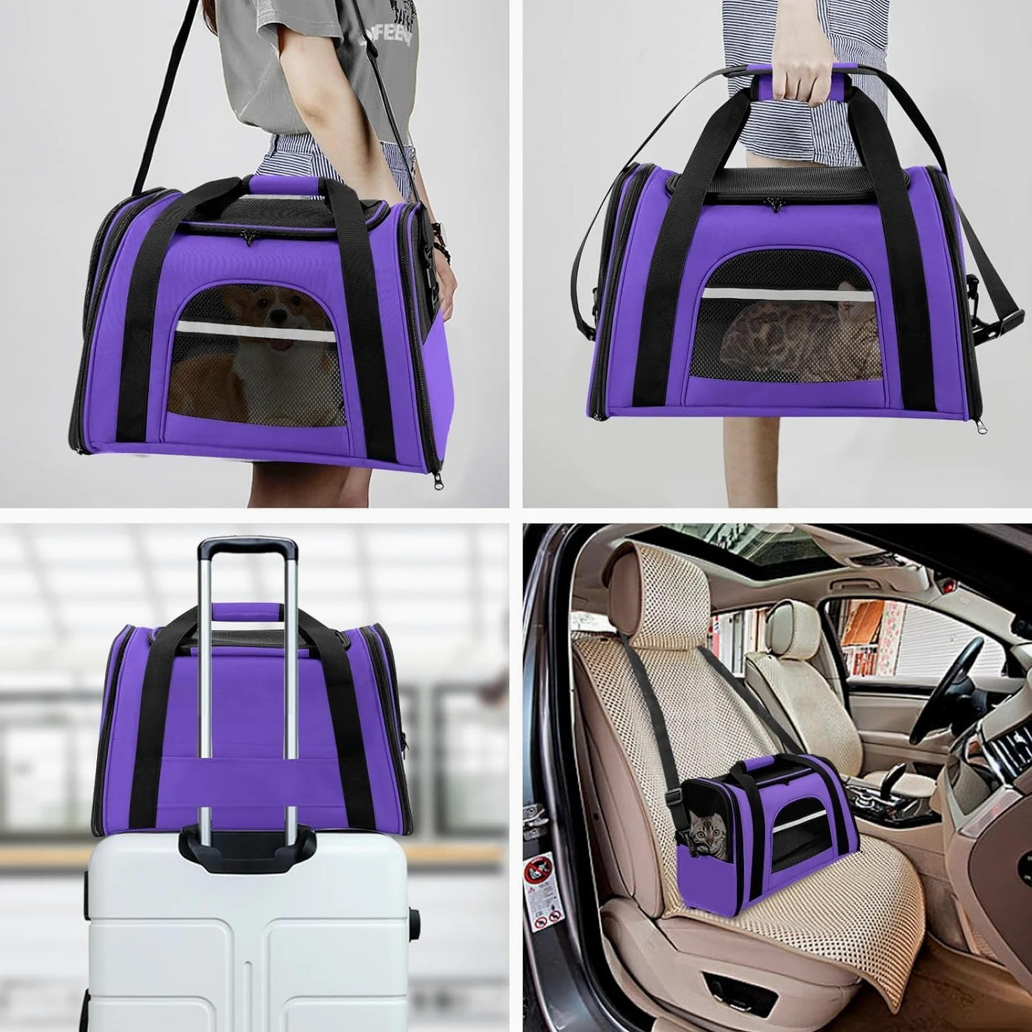 Trasportino per Cani e Gatti Borsa per Animali Portatile Pieghevole Borsa per Gatti Traspirante con Ciotola per Acqua Portatile (Viola)