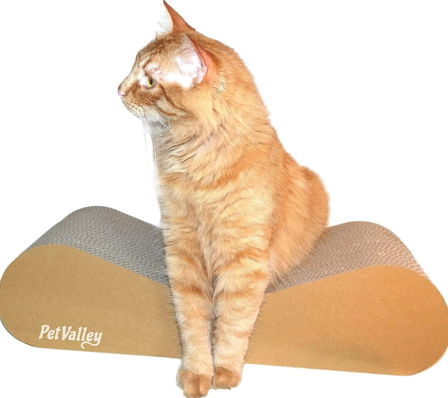 PetValley Tiragraffi per Gatti Kit Cuccia + Grattone Kraft Prodotto di Design in Cartone Ondulato Made in Italy, Ideale Come Cuccia, Palestra e Graffiatoio. 100% Riciclabile