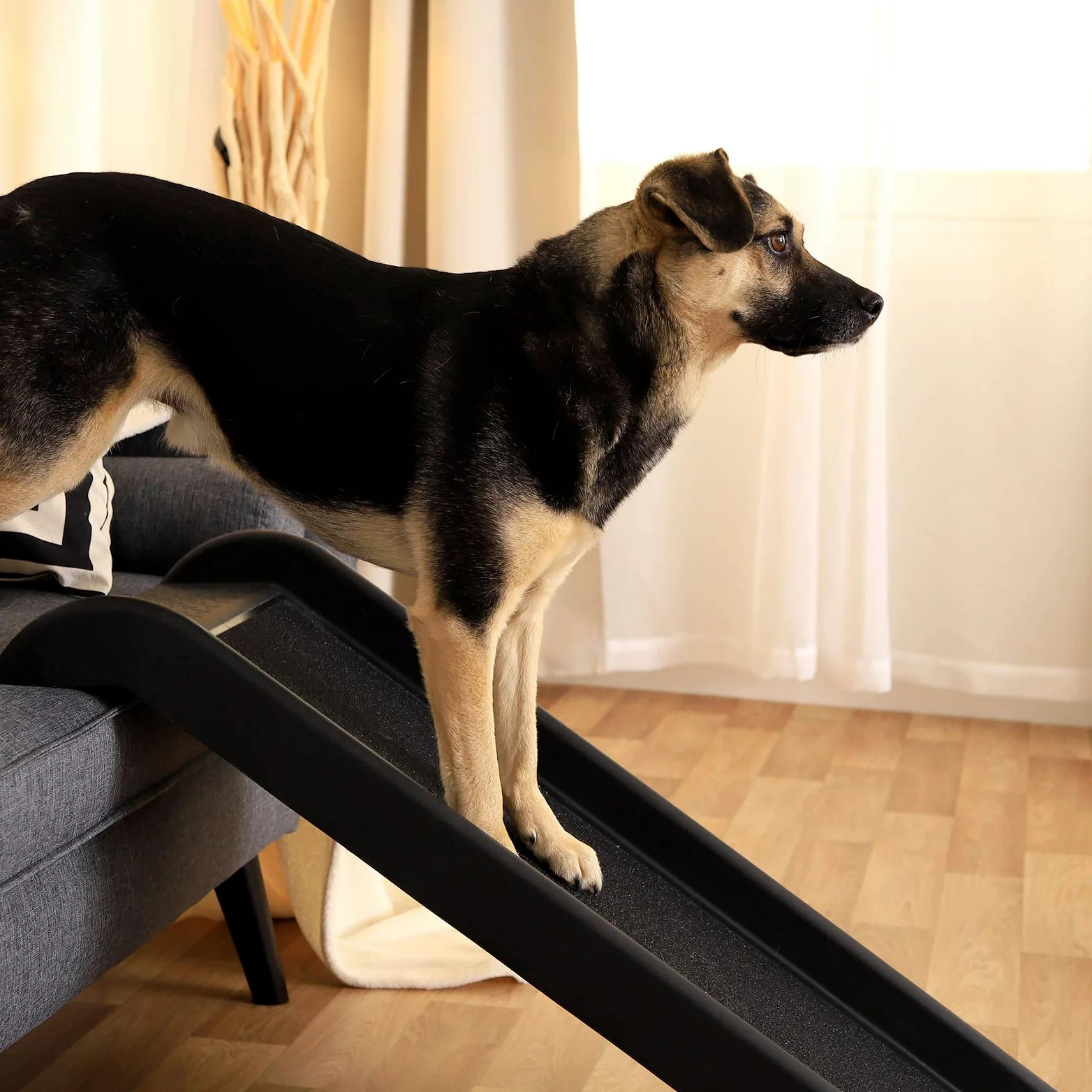 lionto Rampa per Cani Gradini per Cani Rampa per Auto Rampa per Bagagliaio per Animali domestici robusta 100x38 cm Nero