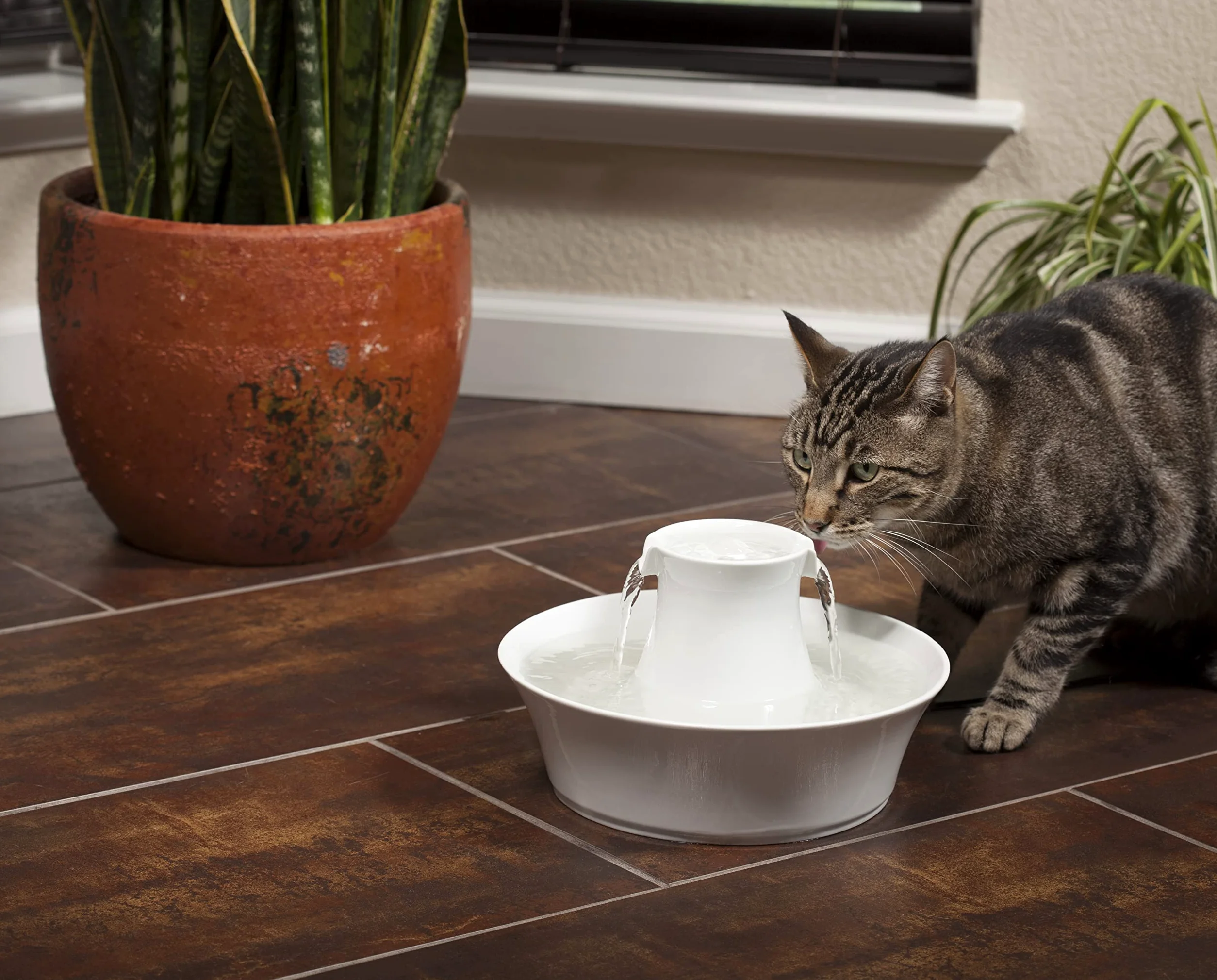 PetSafe AVALON-EU-45 Fontanella per Gatti e Cani in Ceramica Avalon Drinkwell - 2.7 kg