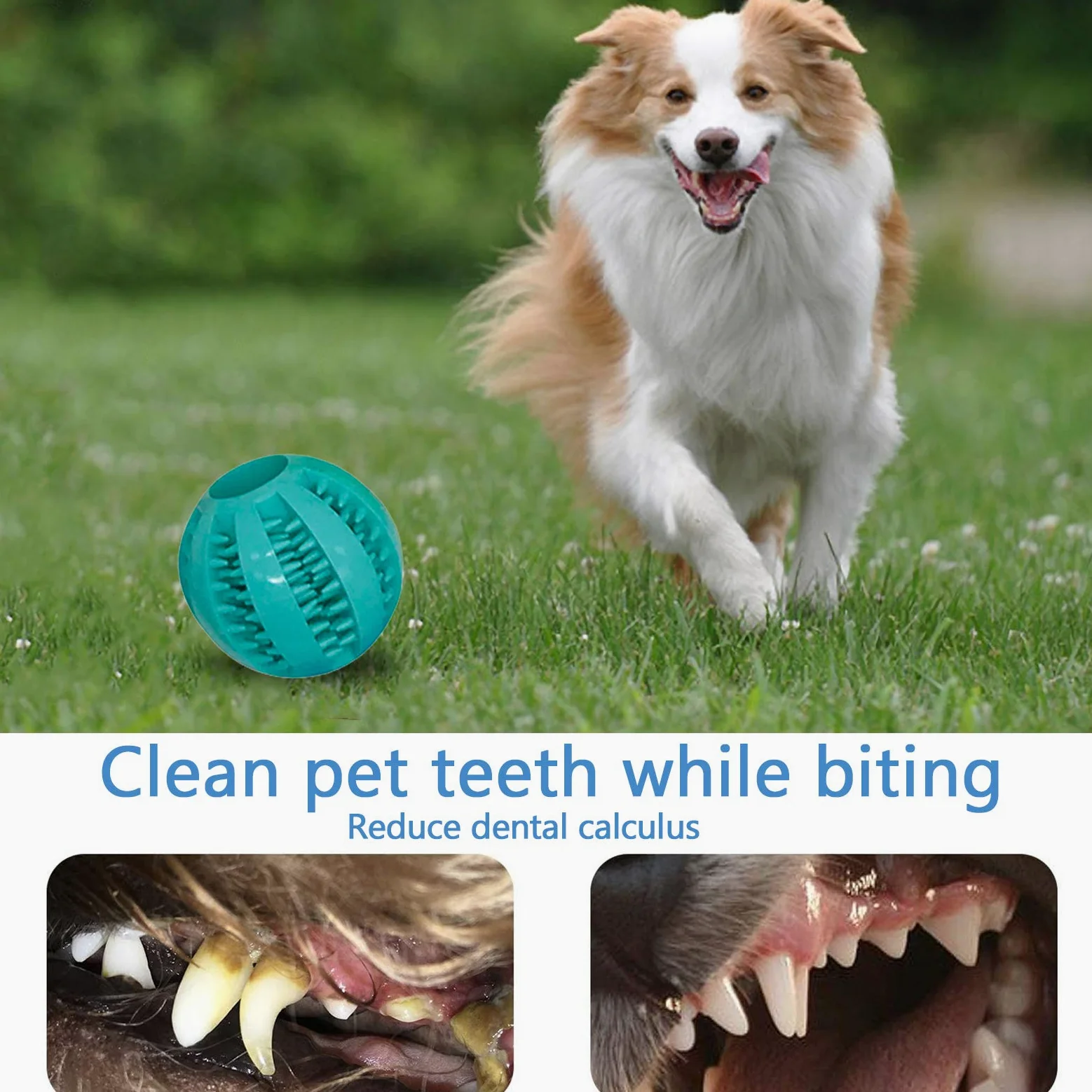 McNoryCane Cotone Naturale, Corda da Masticare Resistenti e Lavabili per la Pulizia dei Denti, Corda per Cane Grande e Cucciolo (15 Pezzi)