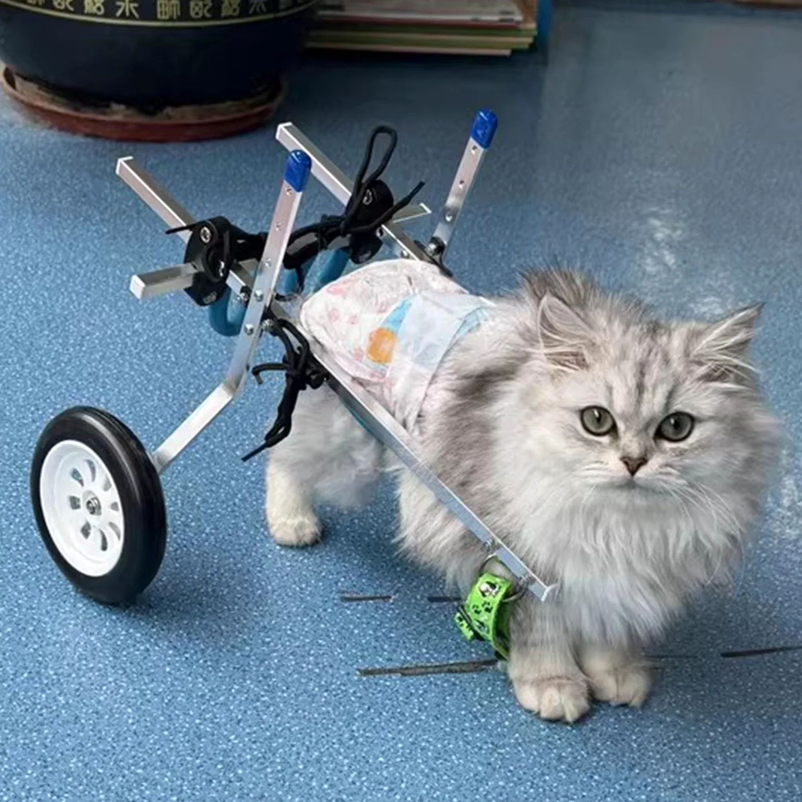 Carrello Cani Disabili Piccola Sedia a Rotelle per Gatti per Zampe Posteriori, Veicolo di Supporto per L'anca Paralizzata, Auto per Cani a 2 Ruote Regolabile con Zampe Posteriori Disabili Che Camminan