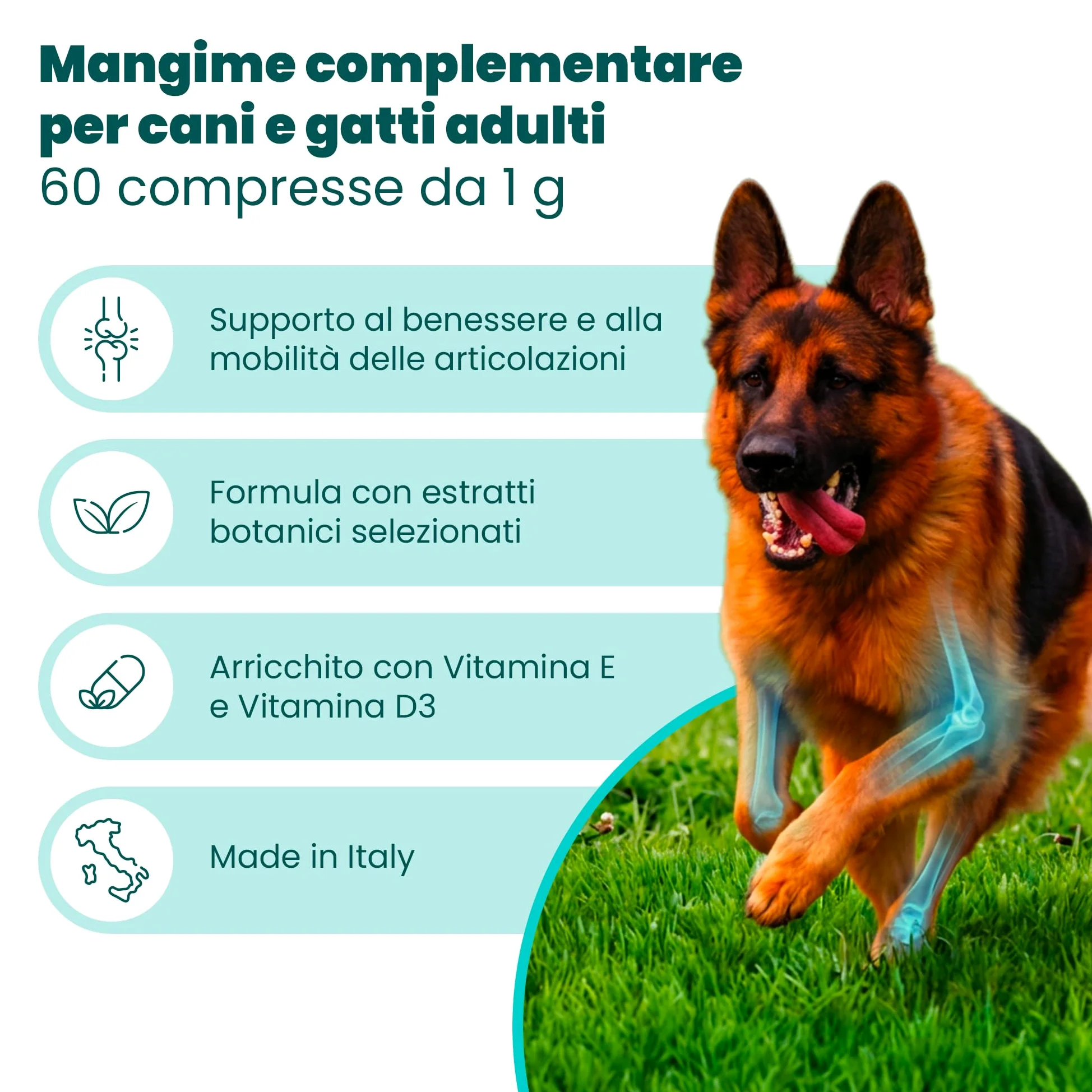 CAMON | Artosalus Compresse, Alimento Complementare per Cani e Gatti per il Supporto delle Articolazioni, 60 cpr