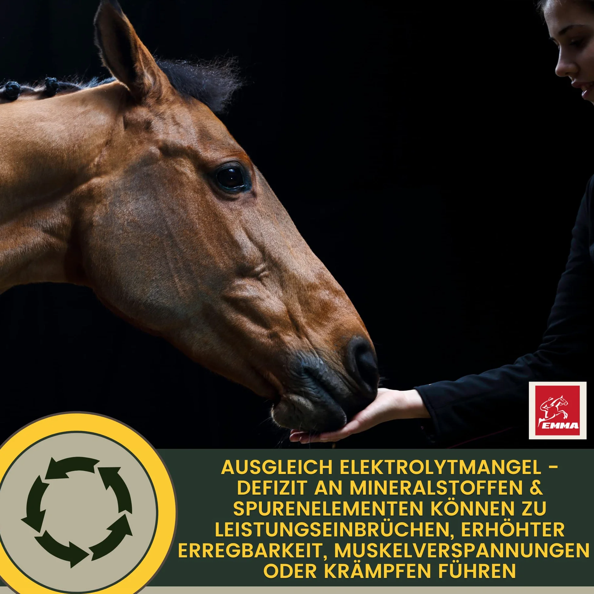 Elettroliti Cavallo - Pasta vitaminica per cavalli I Complesso vitaminico b Cavallo I Elettroliti Sodio Potassio Magnesio I Alimenti minerali Cavalli dopo la diarrea Vomito Acqua Sali minerali 3p.