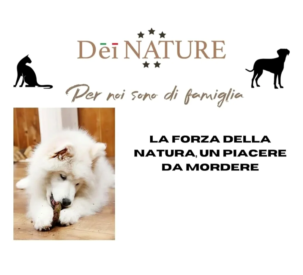 Intestino di manzo essiccato 1 kg, Strisce da 10/12 cm circa, Snack Naturale per cani,ideale per cuccioli Adatto dieta Barf