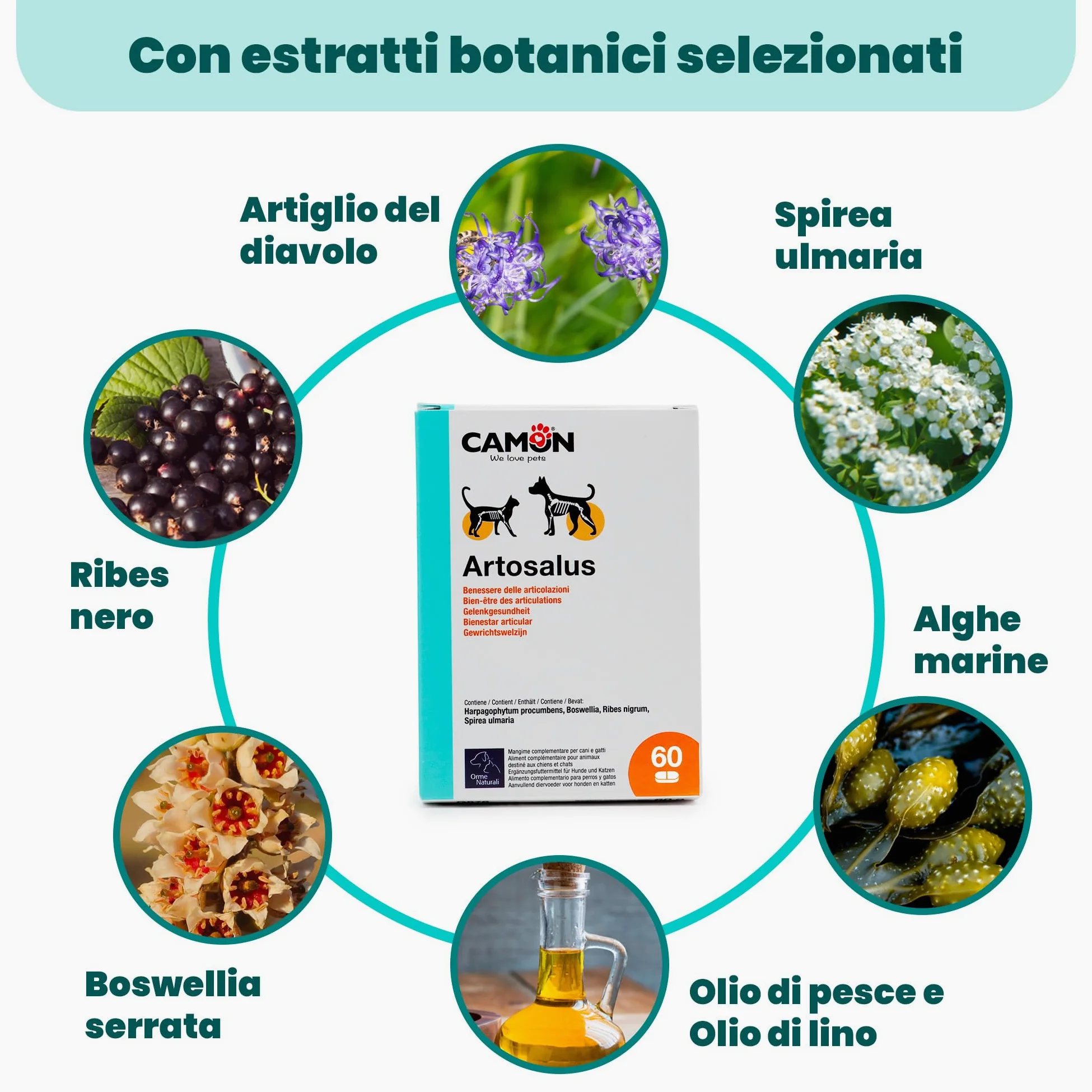 CAMON | Artosalus Compresse, Alimento Complementare per Cani e Gatti per il Supporto delle Articolazioni, 60 cpr