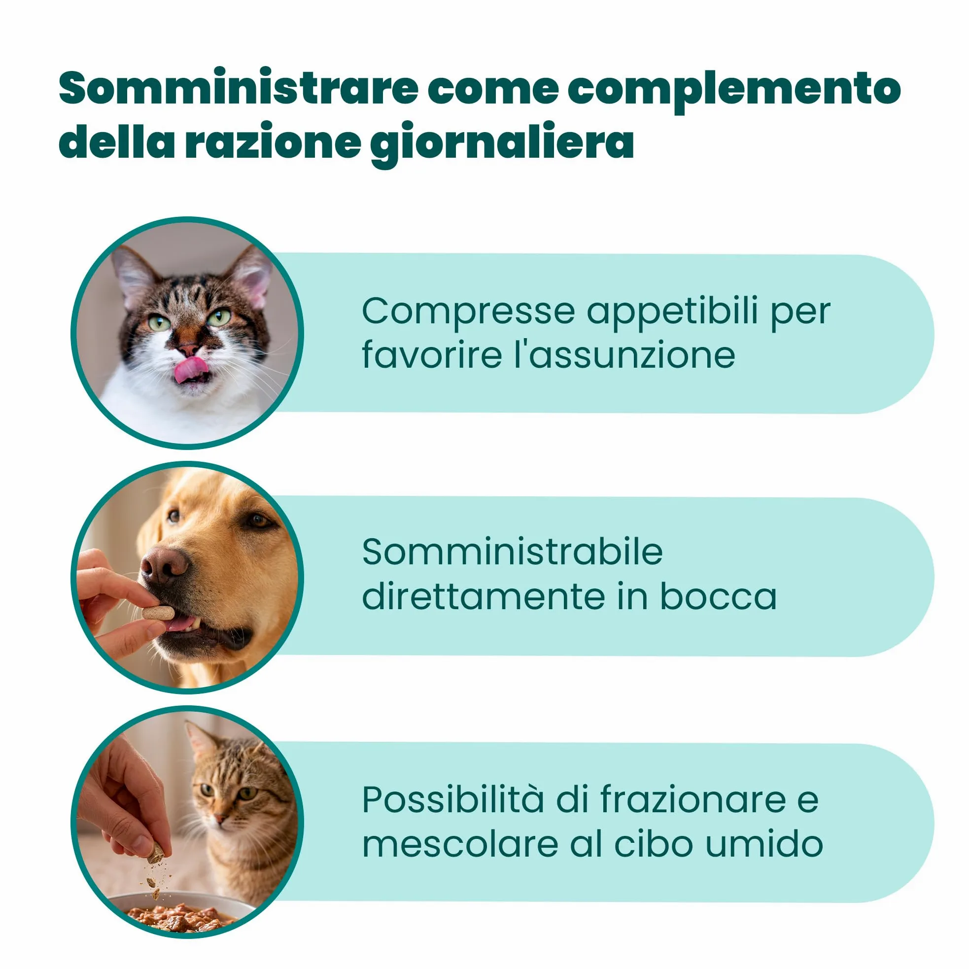 CAMON | Artosalus Compresse, Alimento Complementare per Cani e Gatti per il Supporto delle Articolazioni, 60 cpr