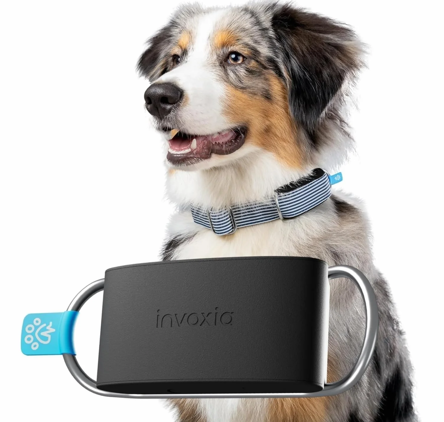 Invoxia Minitailz - Localizzatore GPS e di salute per cani n. 1 - Avvisi anti-fuga, scansione respiratoria - Posizione in tempo reale, ricaricabile tramite USB, zona virtuale e recinto