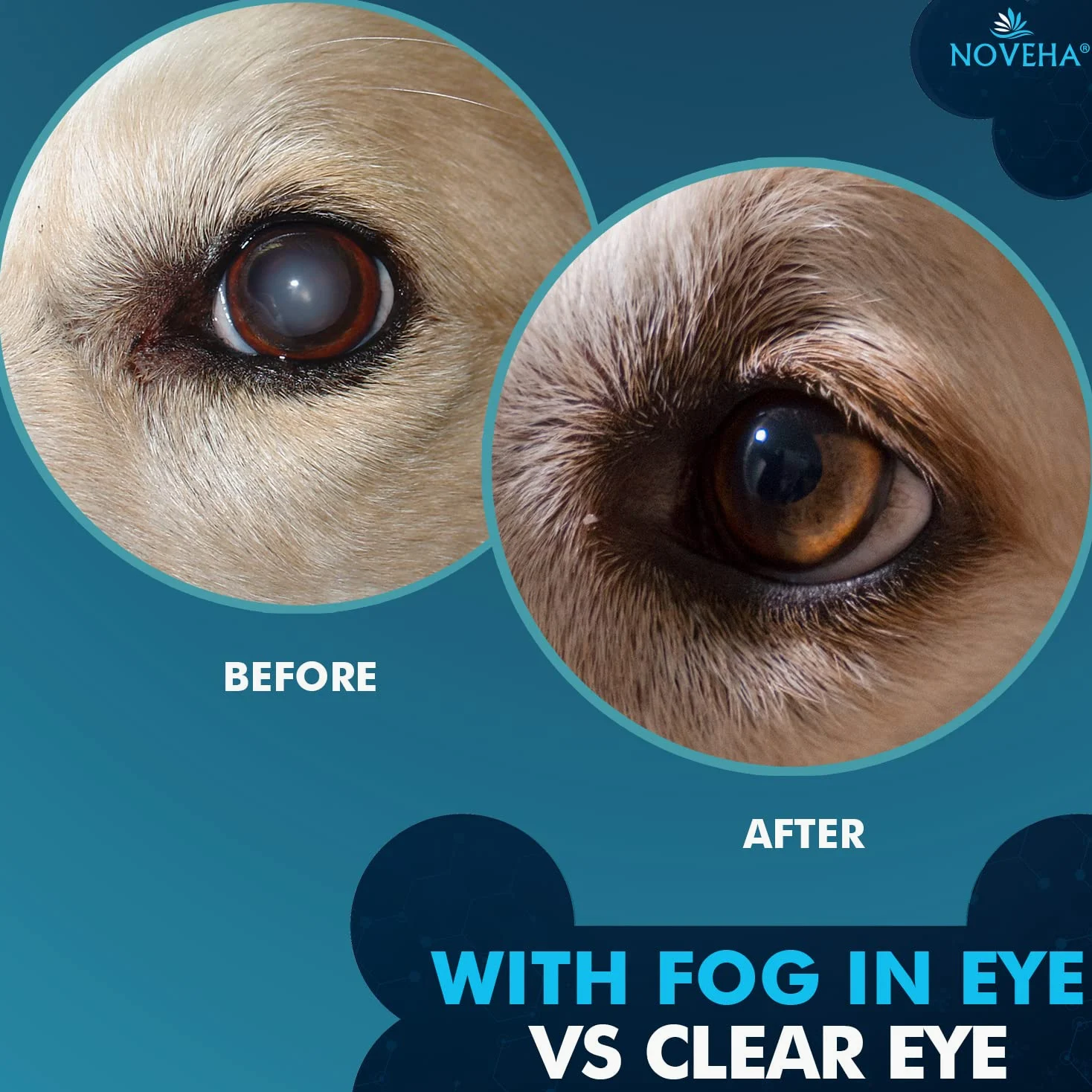 NOVEHA Gocce per animali domestici | Soluzione avanzata di lanosterolo + NAC | Gocce lubrificanti terapeutiche per cani e gatti – 2 x 10 ml