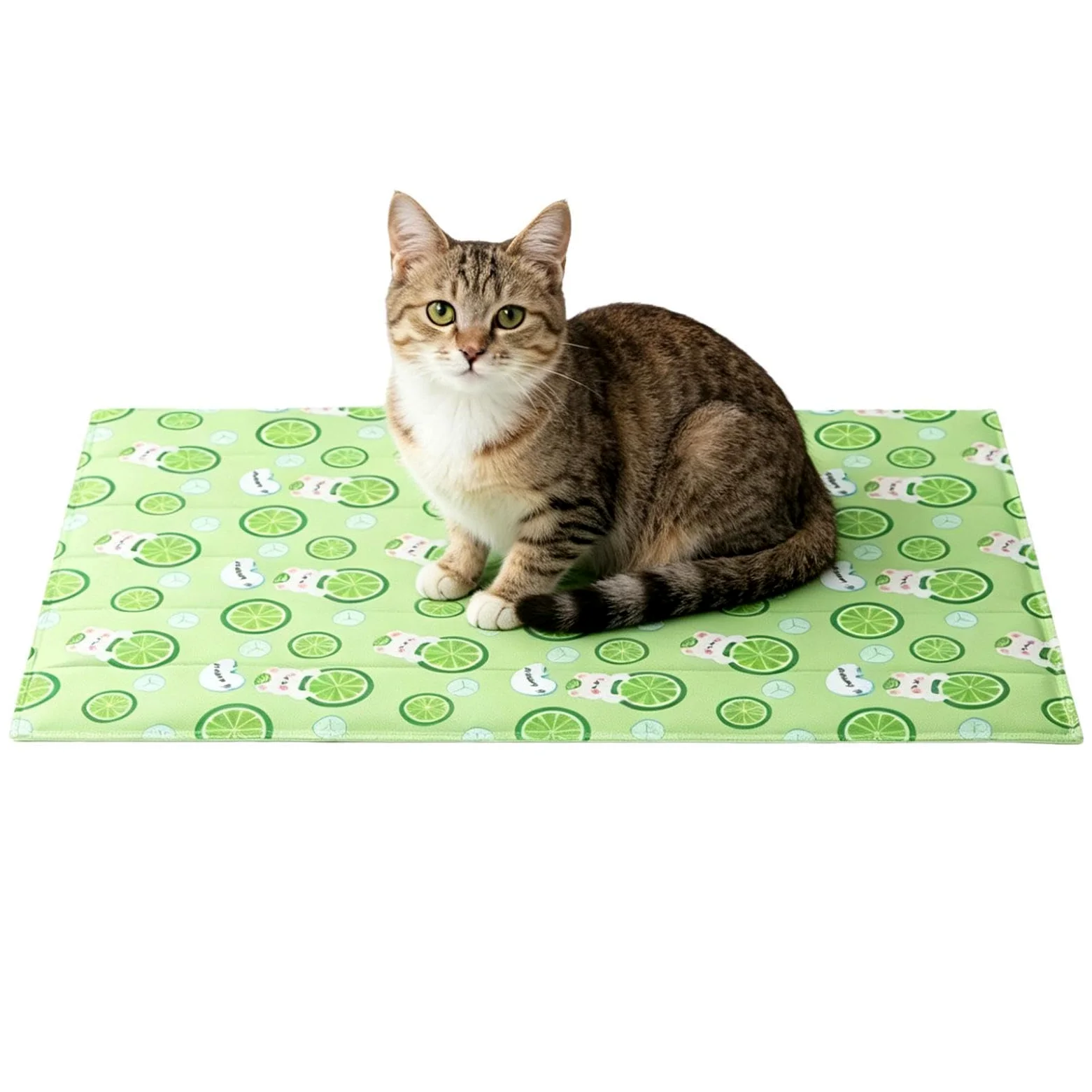 Tappetino Rinfrescante Cani Materassino Pieghevole Riutilizzabile | Tappetino Rinfrescante per Gatti e Coperta Riposo per Viaggi in Auto Spiaggia Balcone